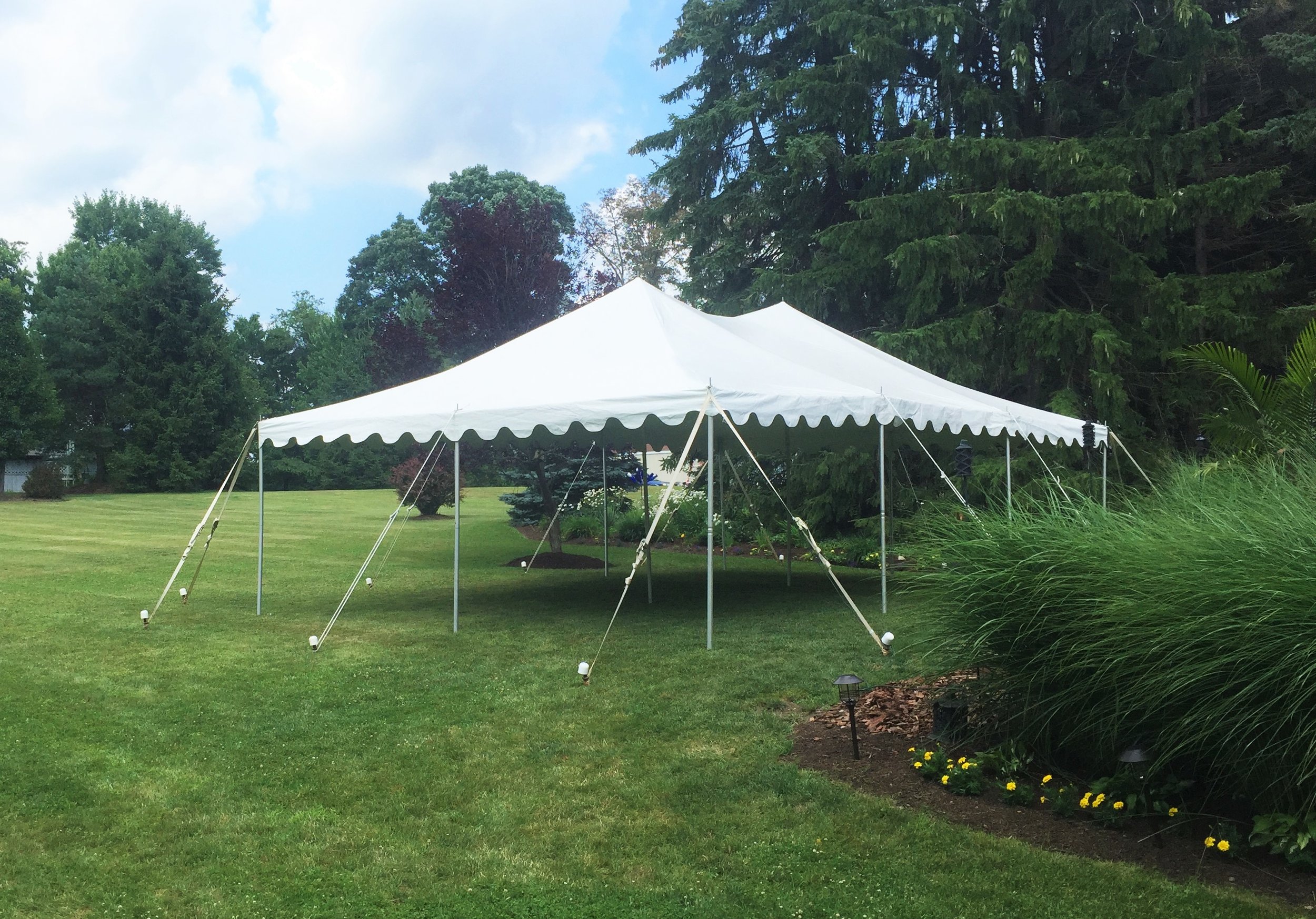 20' x 30' Canopy Tent