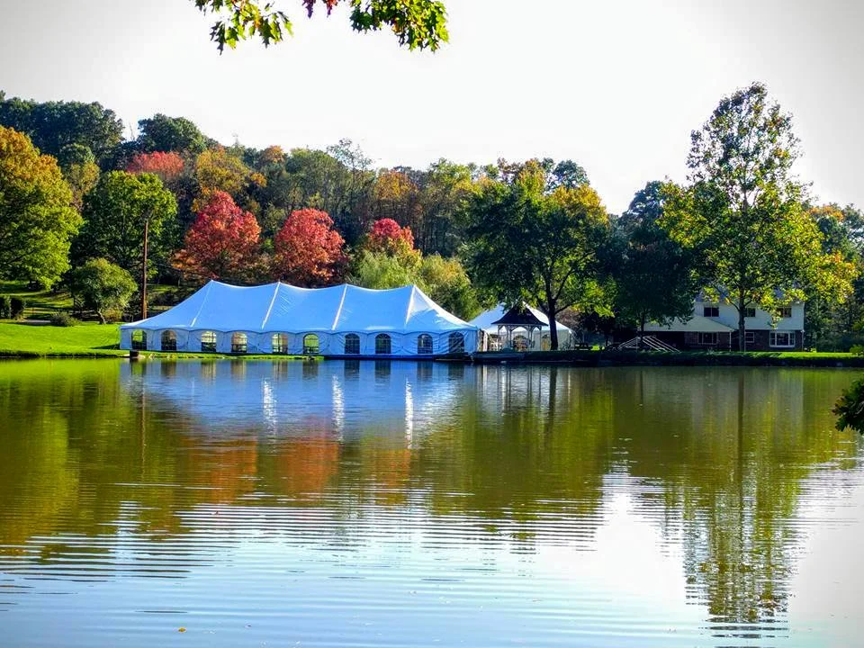 festive tent website.jpg