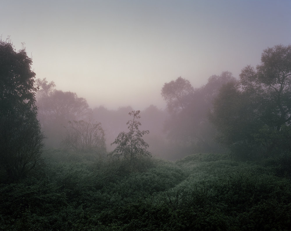 EschenzHochwacht_4x5Kodak160_2400dpi_002.jpg