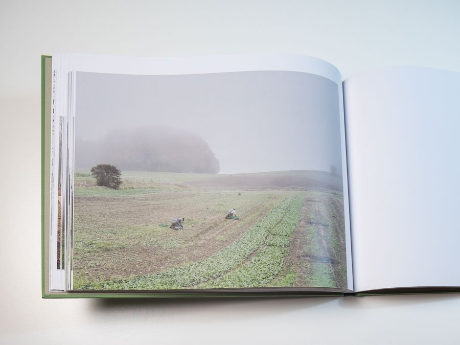 LAND-Book-MZedler_ (49).jpeg