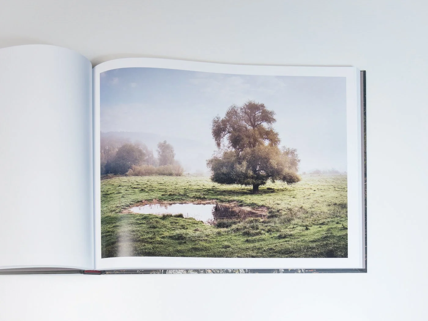 THUR-Book-MZedler_ (42).jpeg