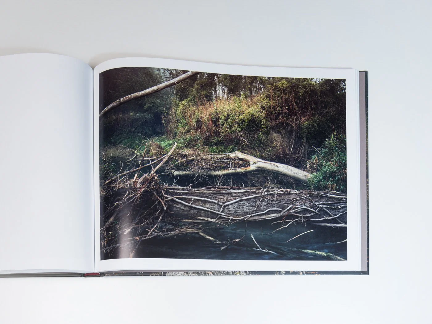 THUR-Book-MZedler_ (60).jpeg