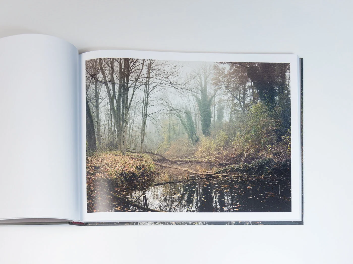 THUR-Book-MZedler_ (30).jpeg
