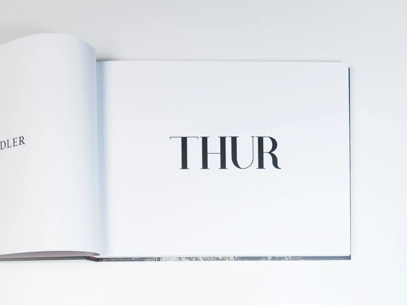 THUR-Book-MZedler_ (2).jpeg