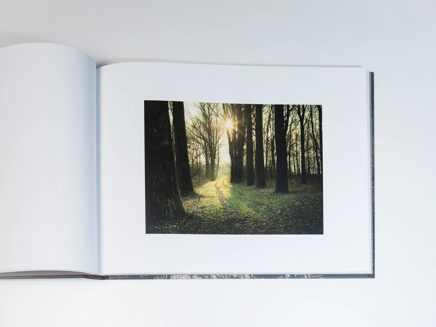 THUR-Book-MZedler_ (32).jpeg