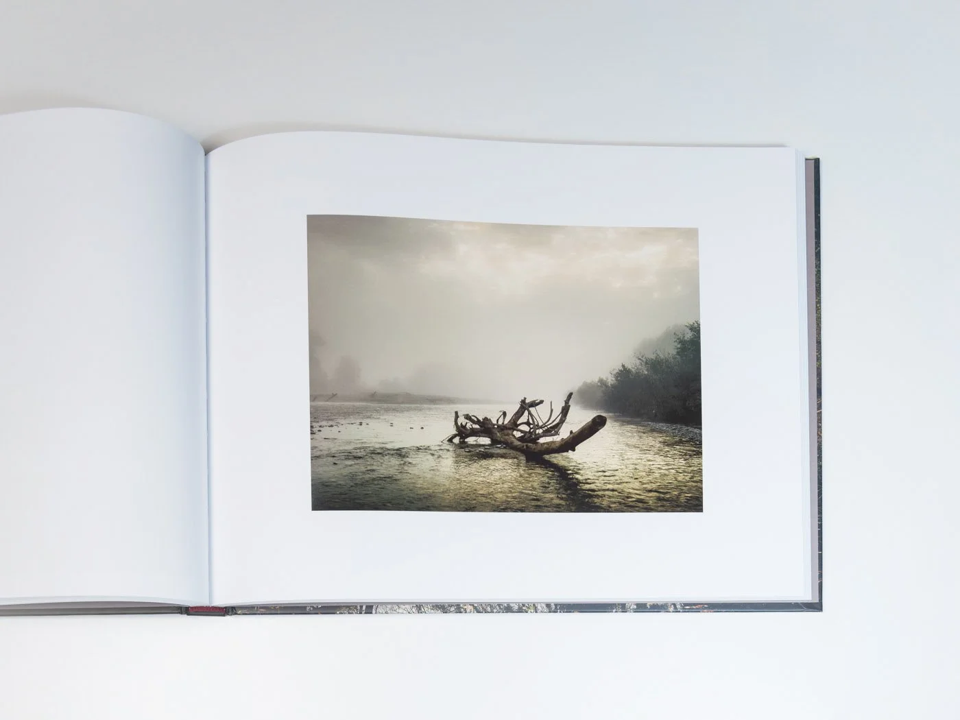 THUR-Book-MZedler_ (43).jpeg