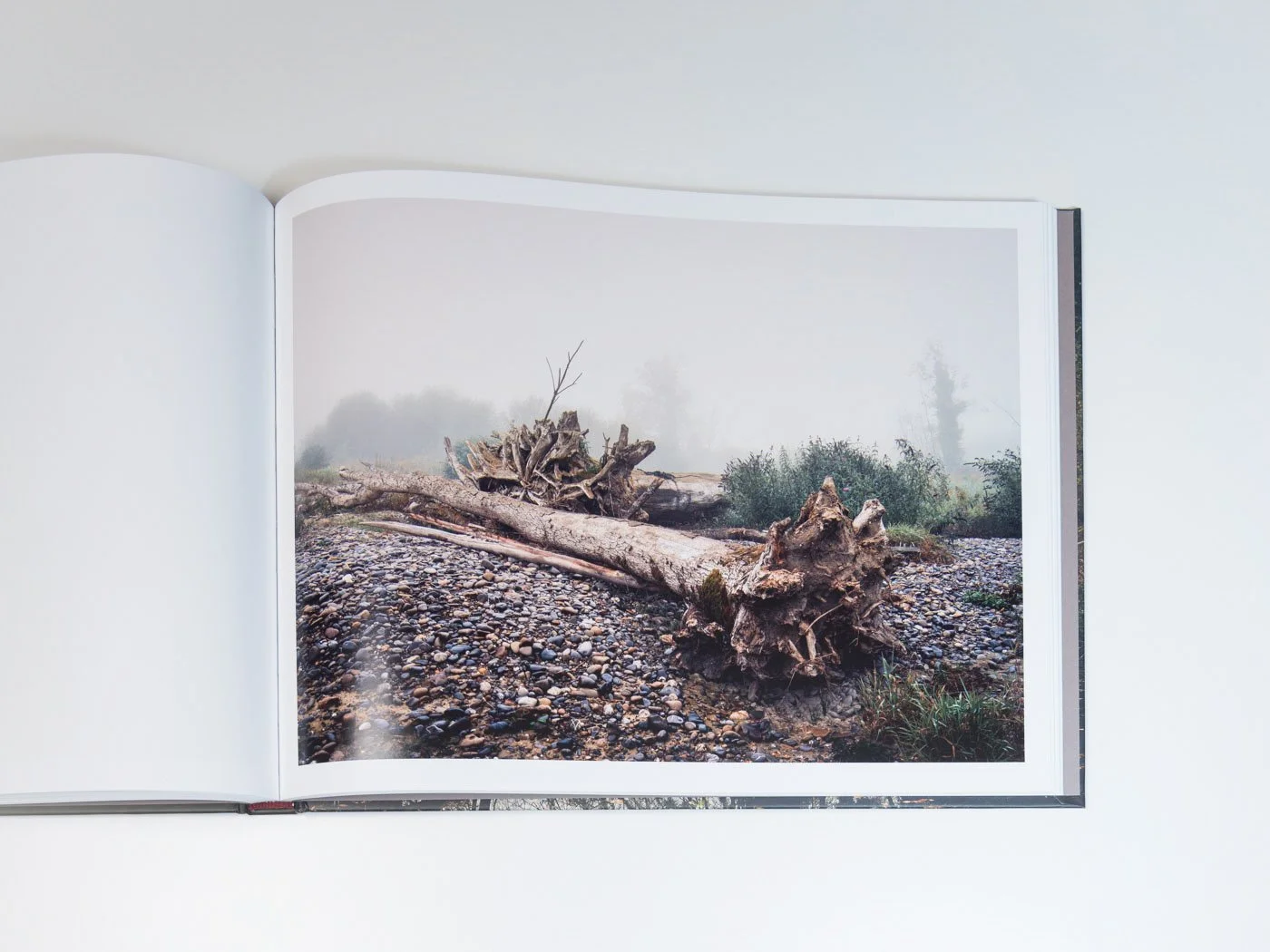 THUR-Book-MZedler_ (59).jpeg