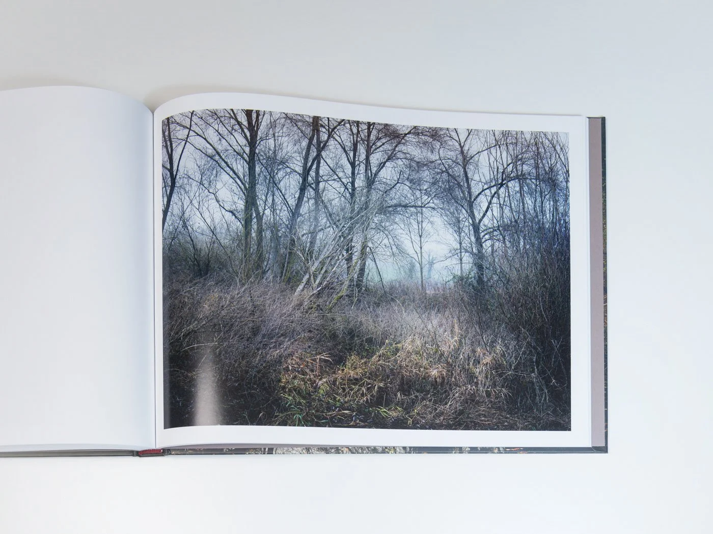 THUR-Book-MZedler_ (66).jpeg