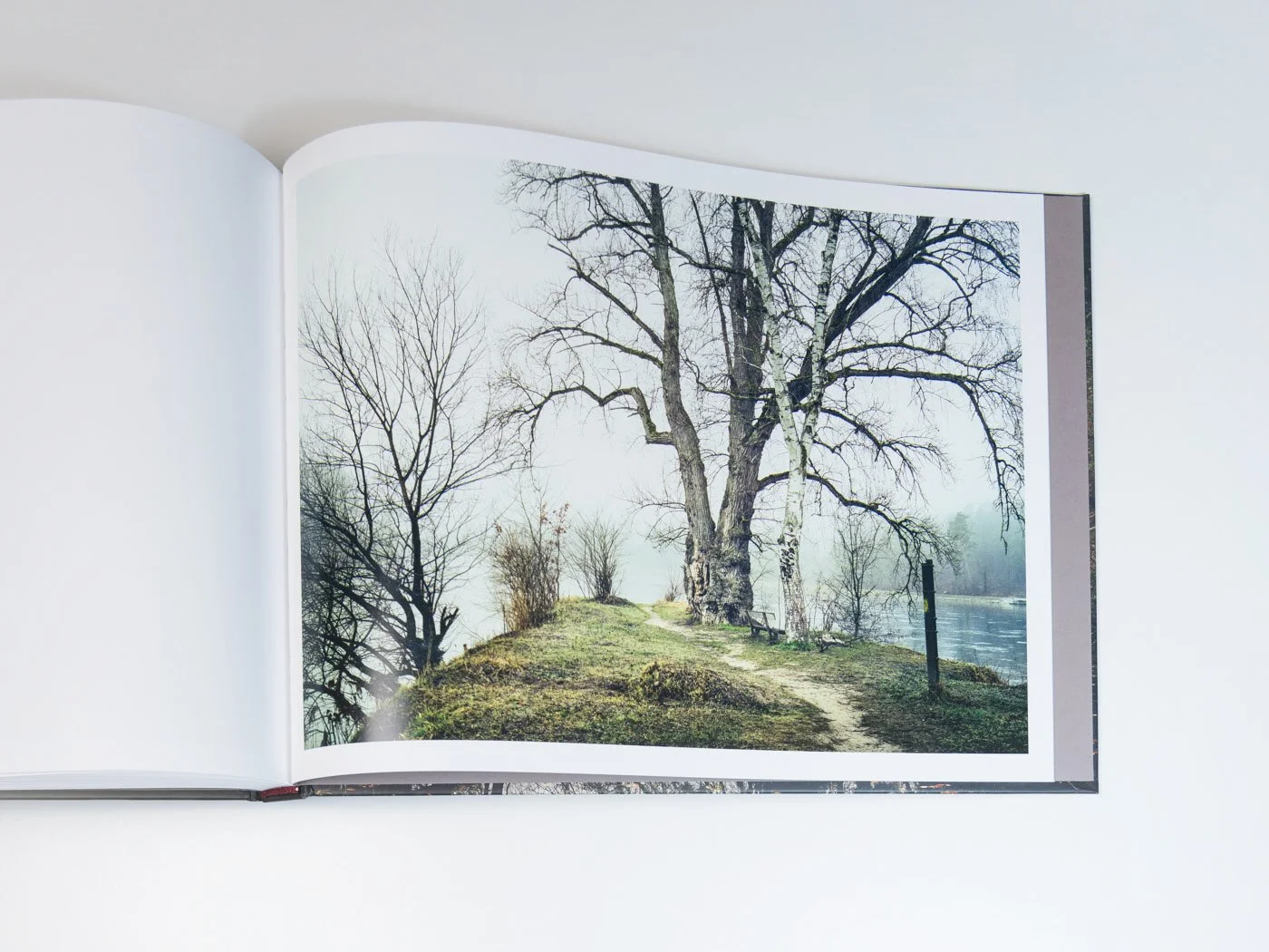 THUR-Book-MZedler_ (77).jpeg
