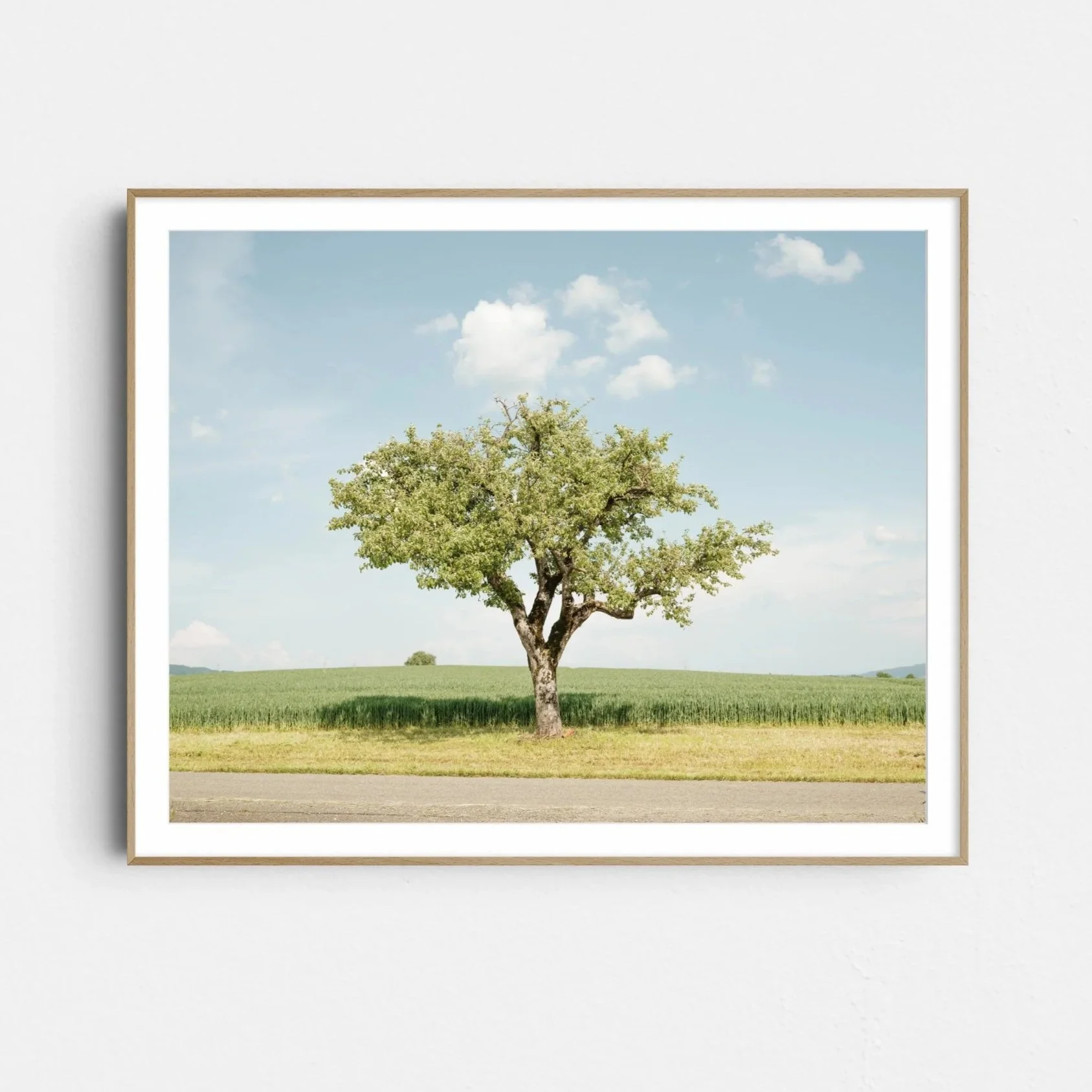 Baum_in_der_Mittagssonne_FramedPrint.jpg
