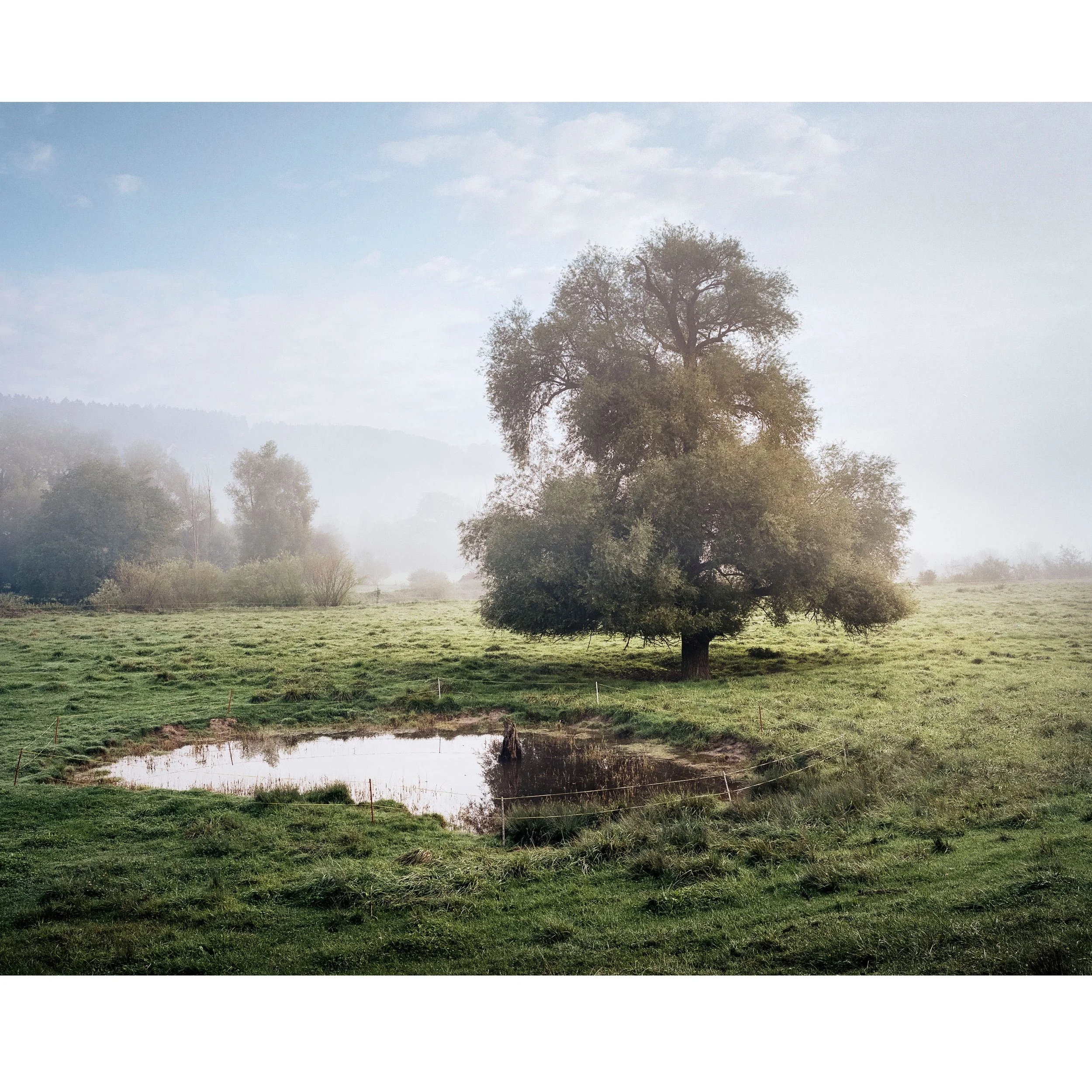 Print_THUR_01_MZedler.jpg
