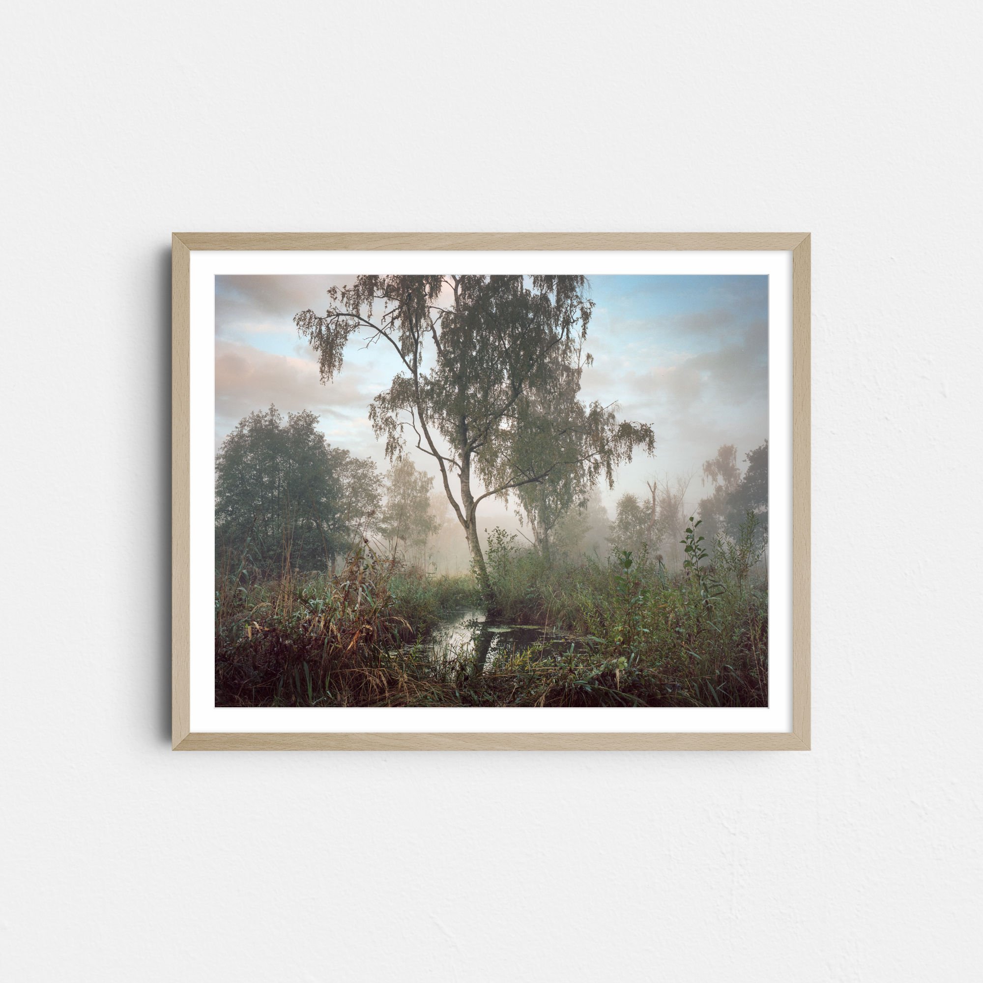 Print_framed_WETLAND_02_MZedler.jpg