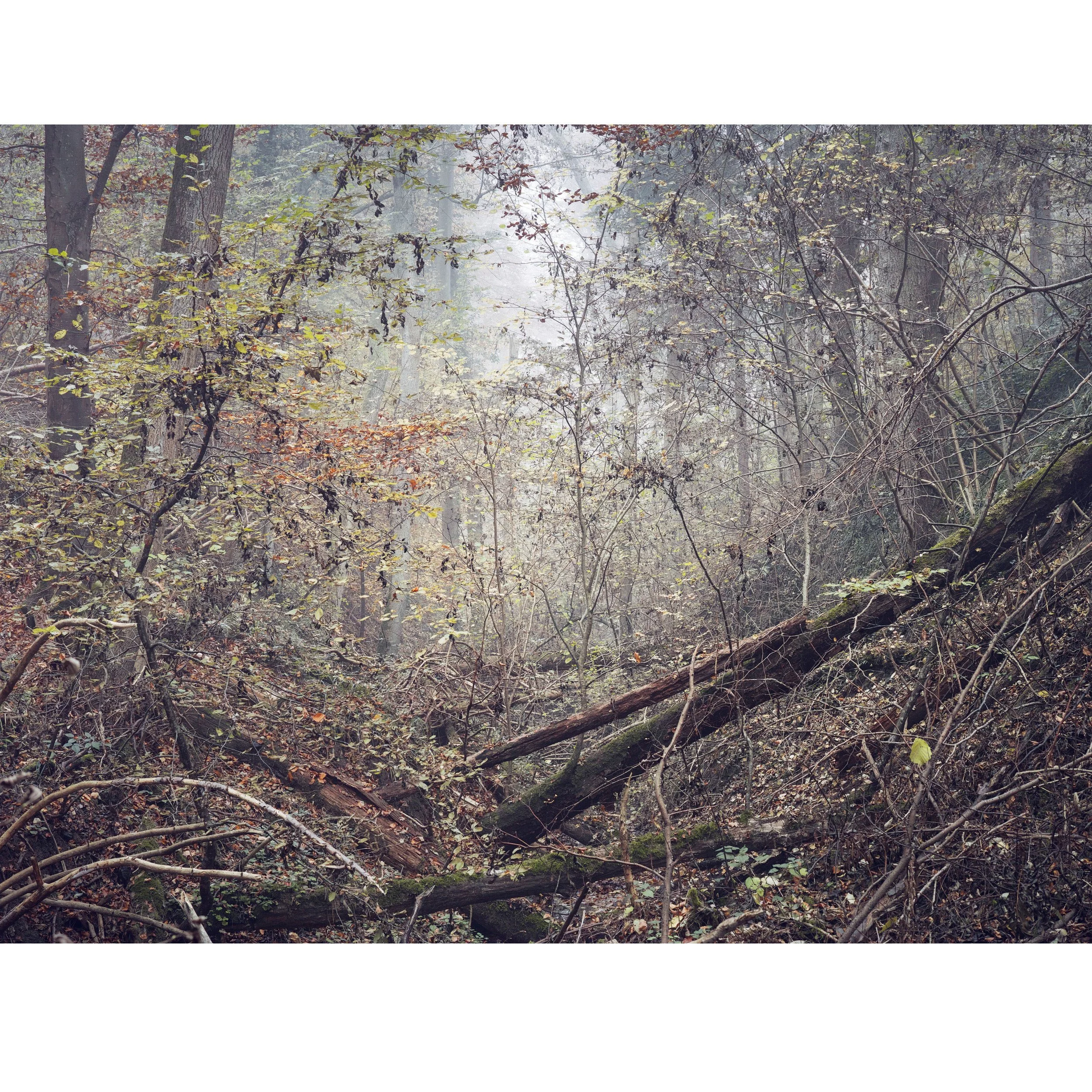 Print_INTOTHEPLACE_01_MZedler.jpg