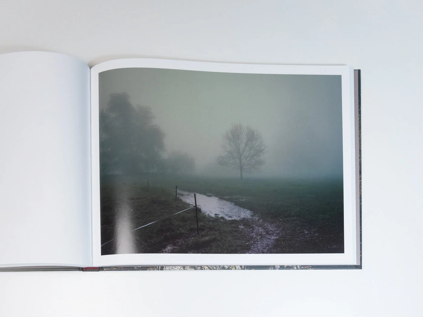 THUR-Book-MZedler_ (49).jpeg