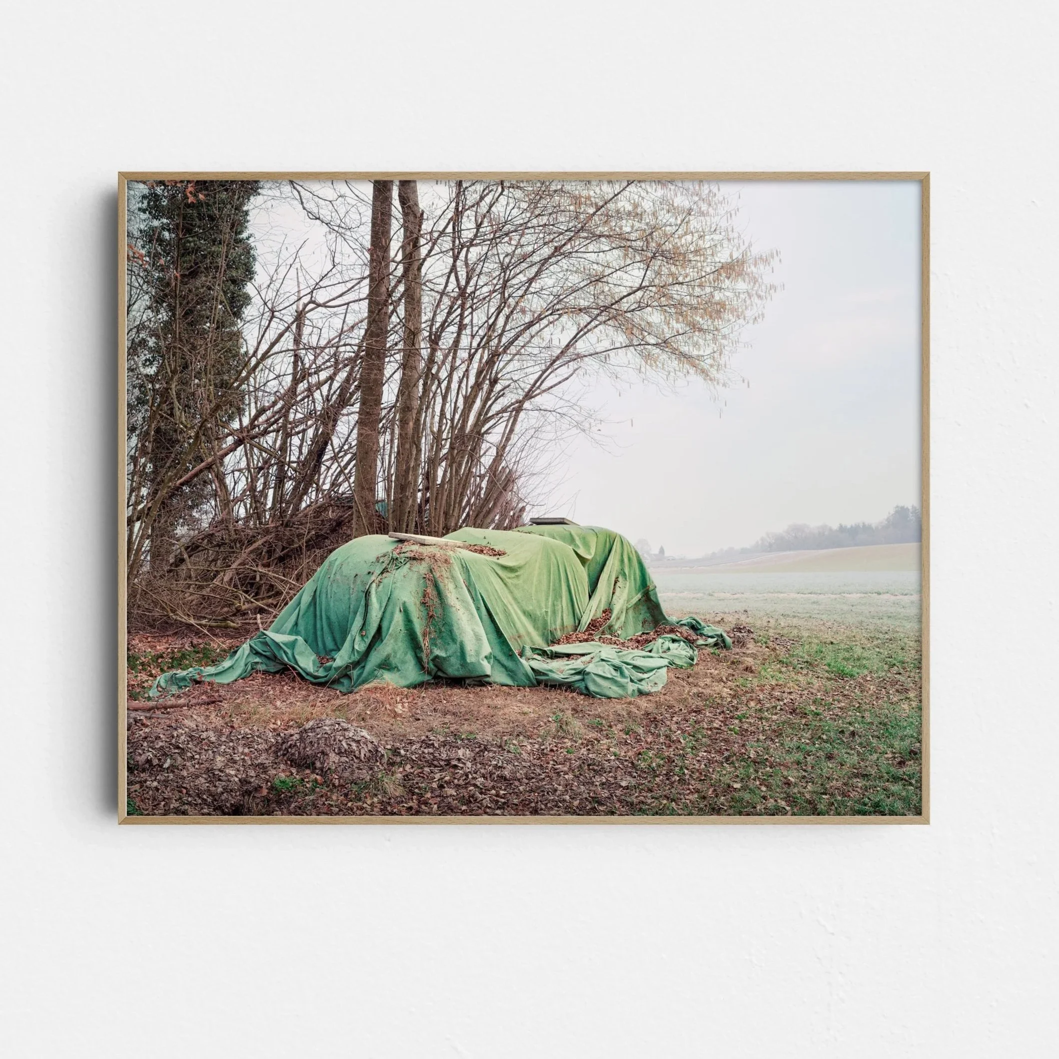 Heuballen_3_FramedPrint_b.jpg