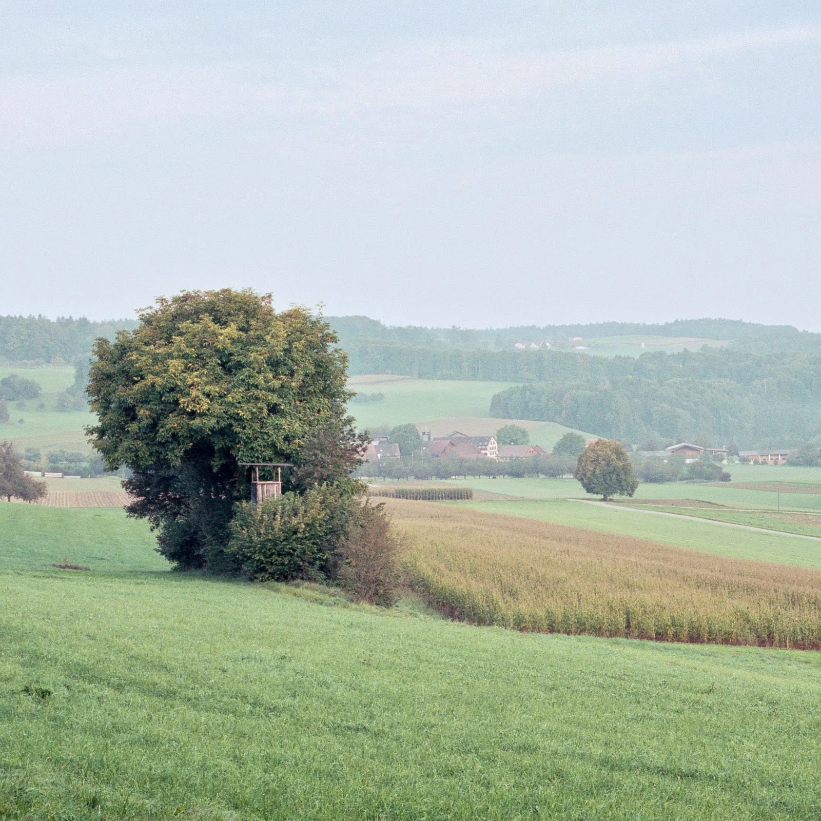Print_Cutout_Bornhausen_MarcoZedler.jpg