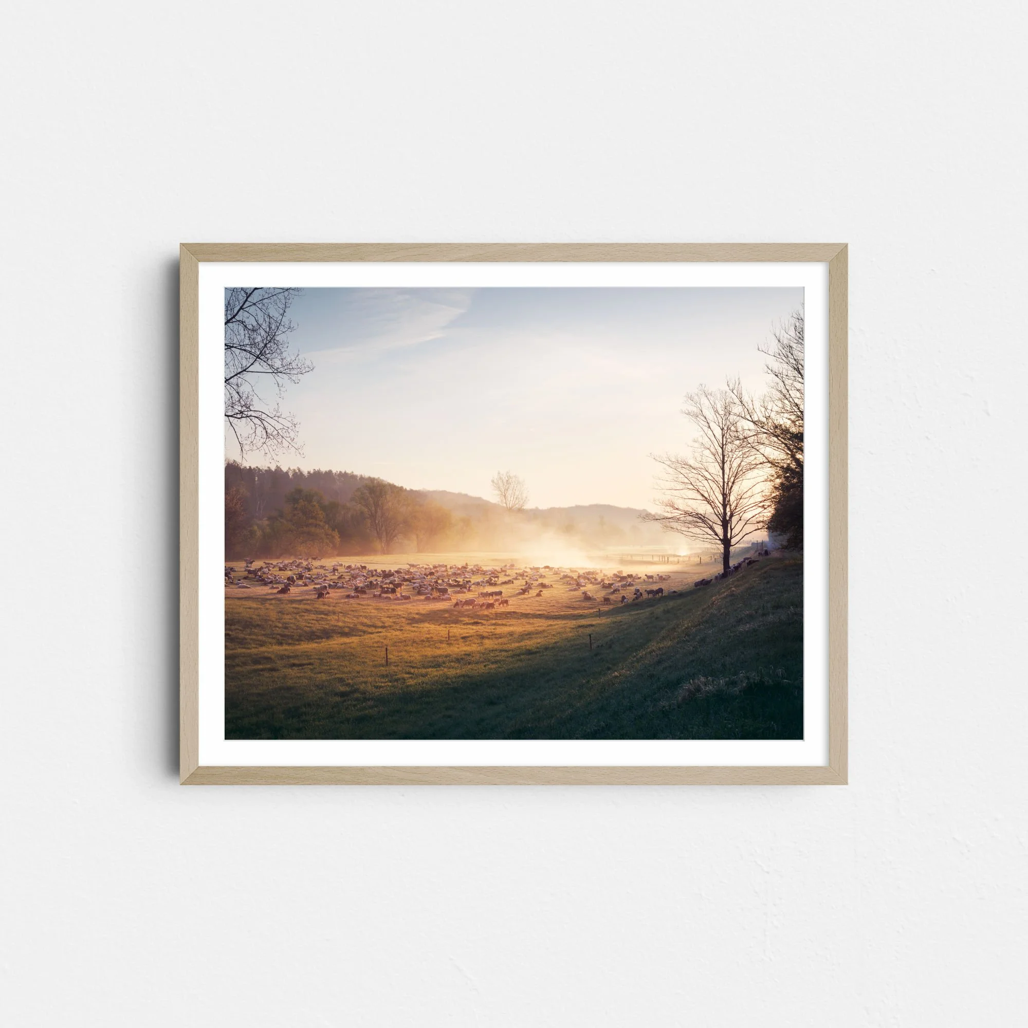 Print_framed_c_THUR_No10_MZedler.jpg