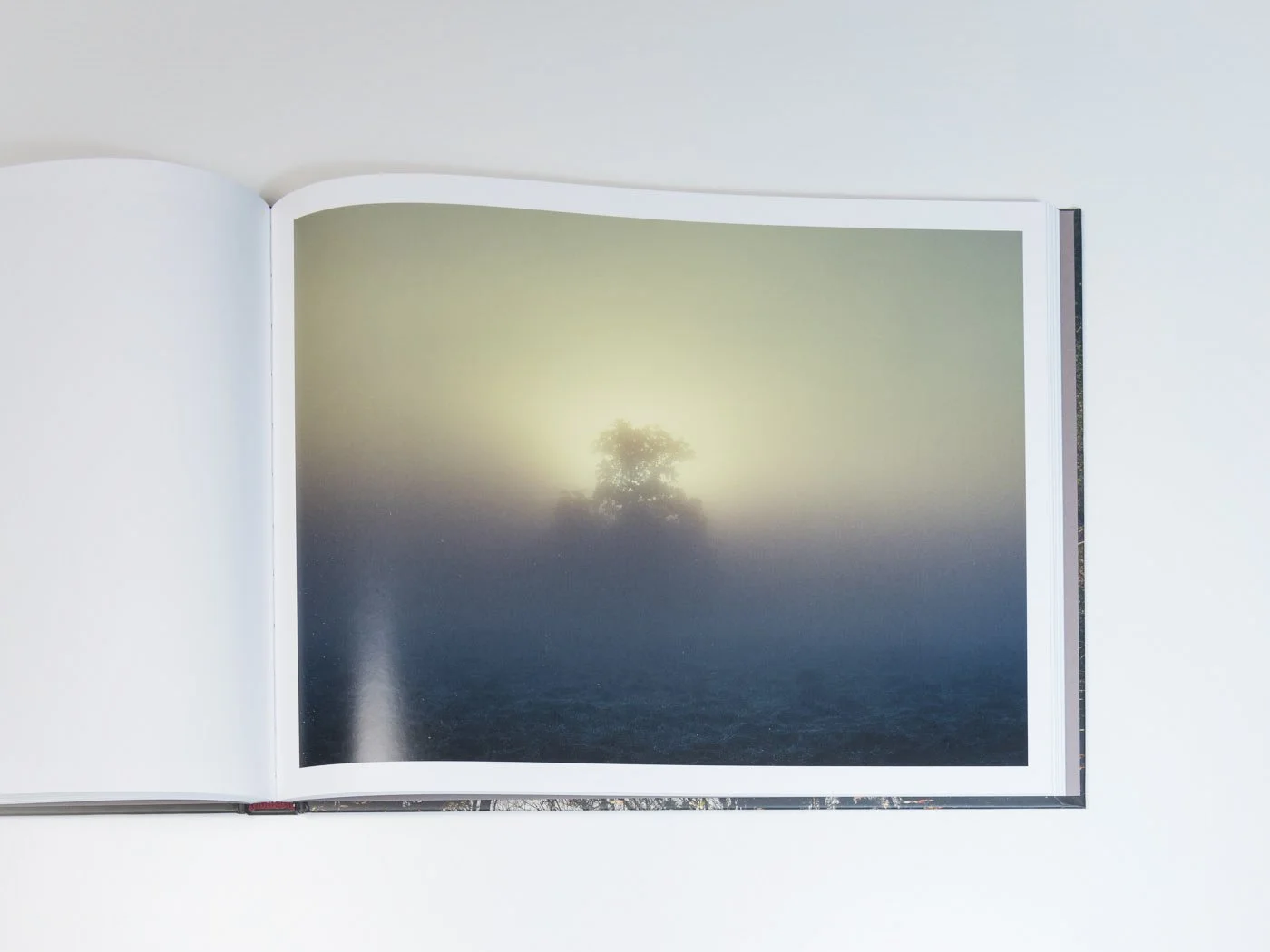 THUR-Book-MZedler_ (51).jpeg