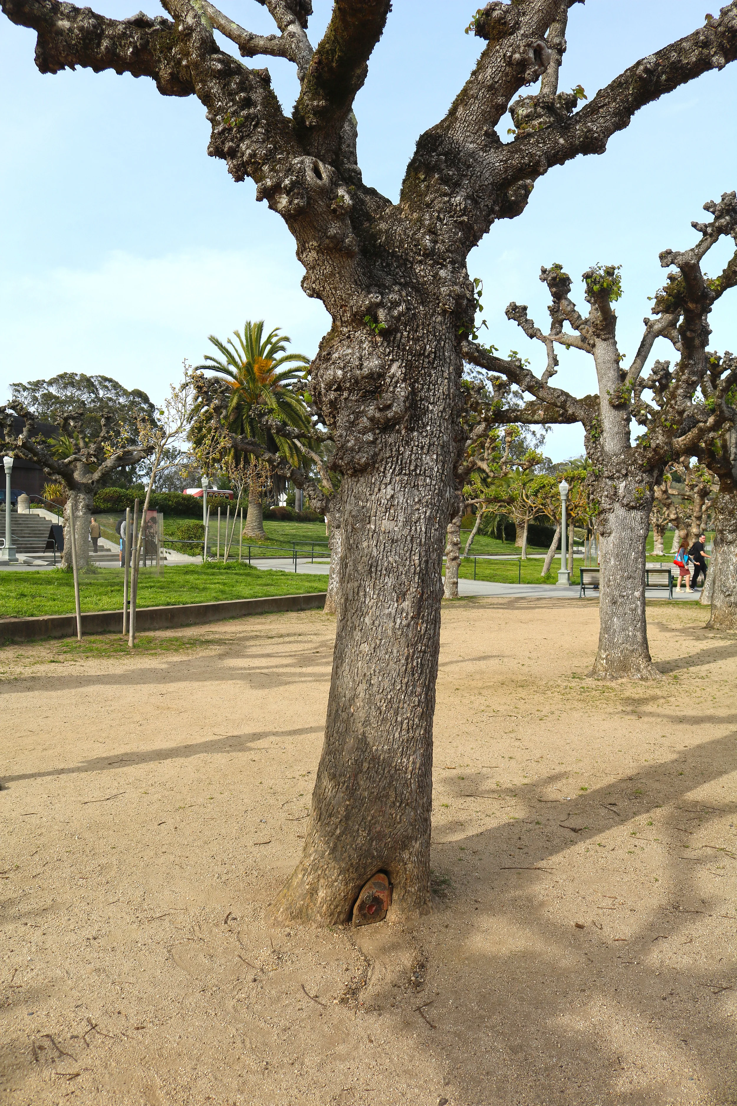 tiny-door-golden-gate-park-sf.jpg