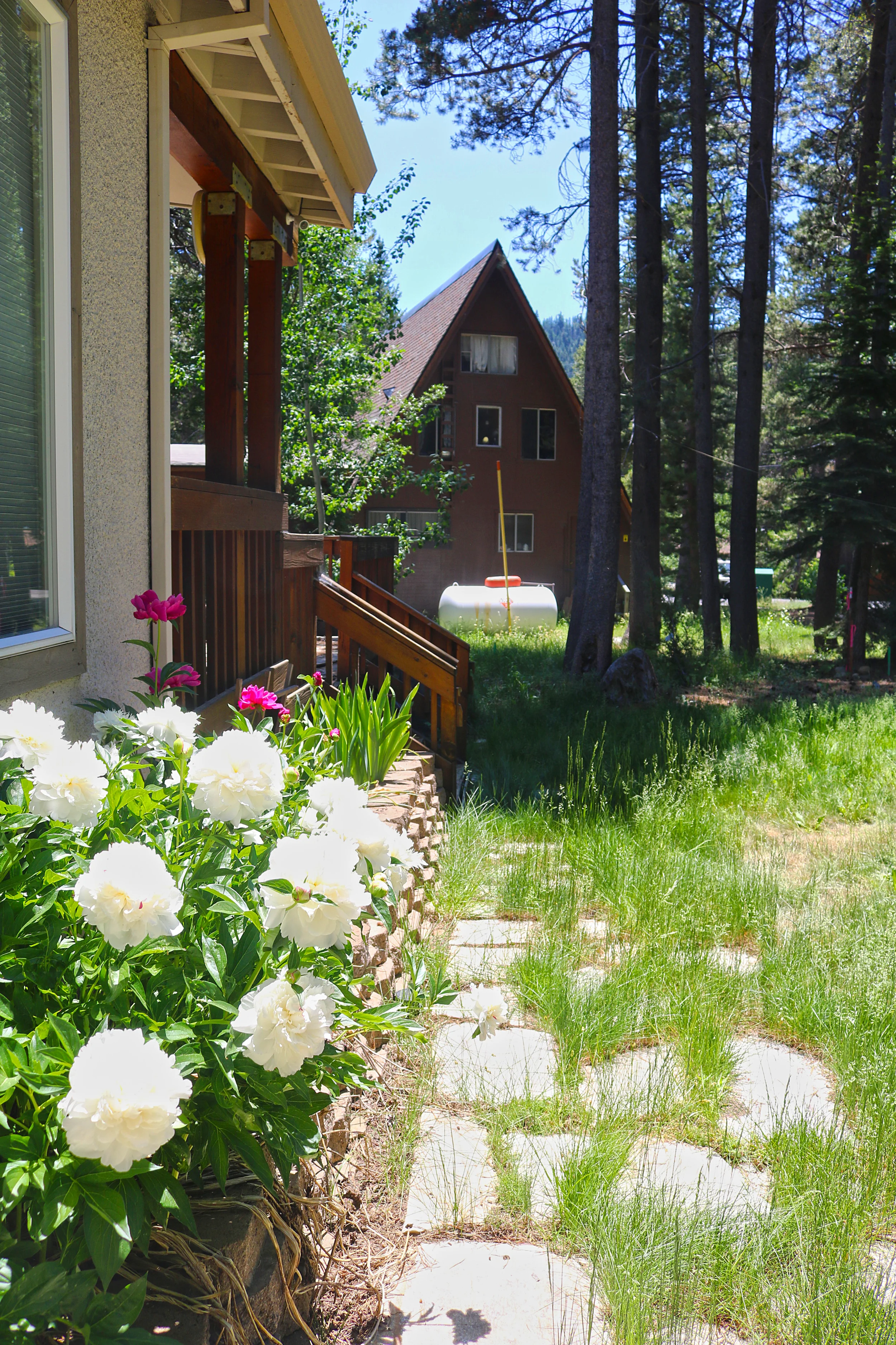 tahoe-4th-of-july.jpg