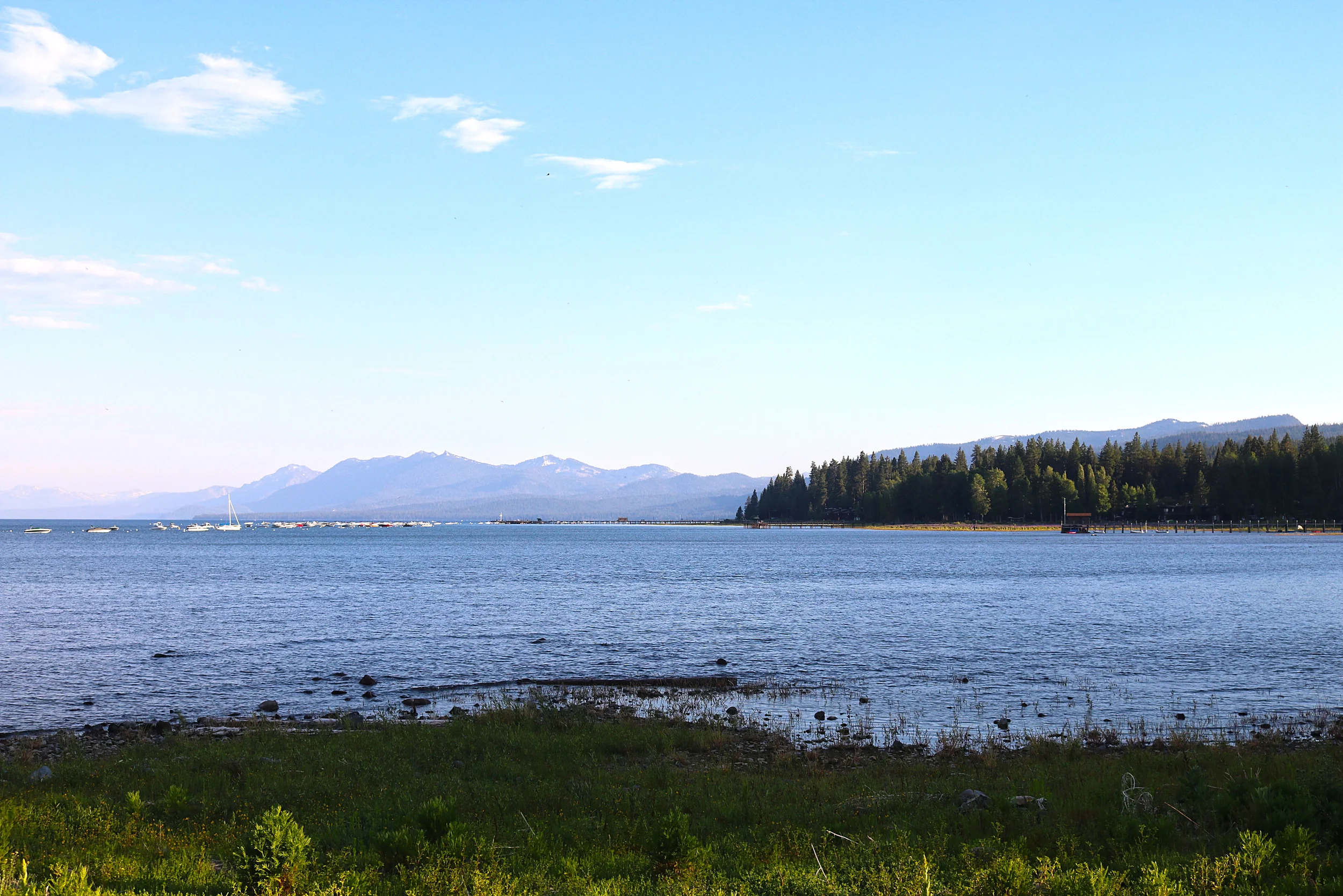 IMG_4705.jpg