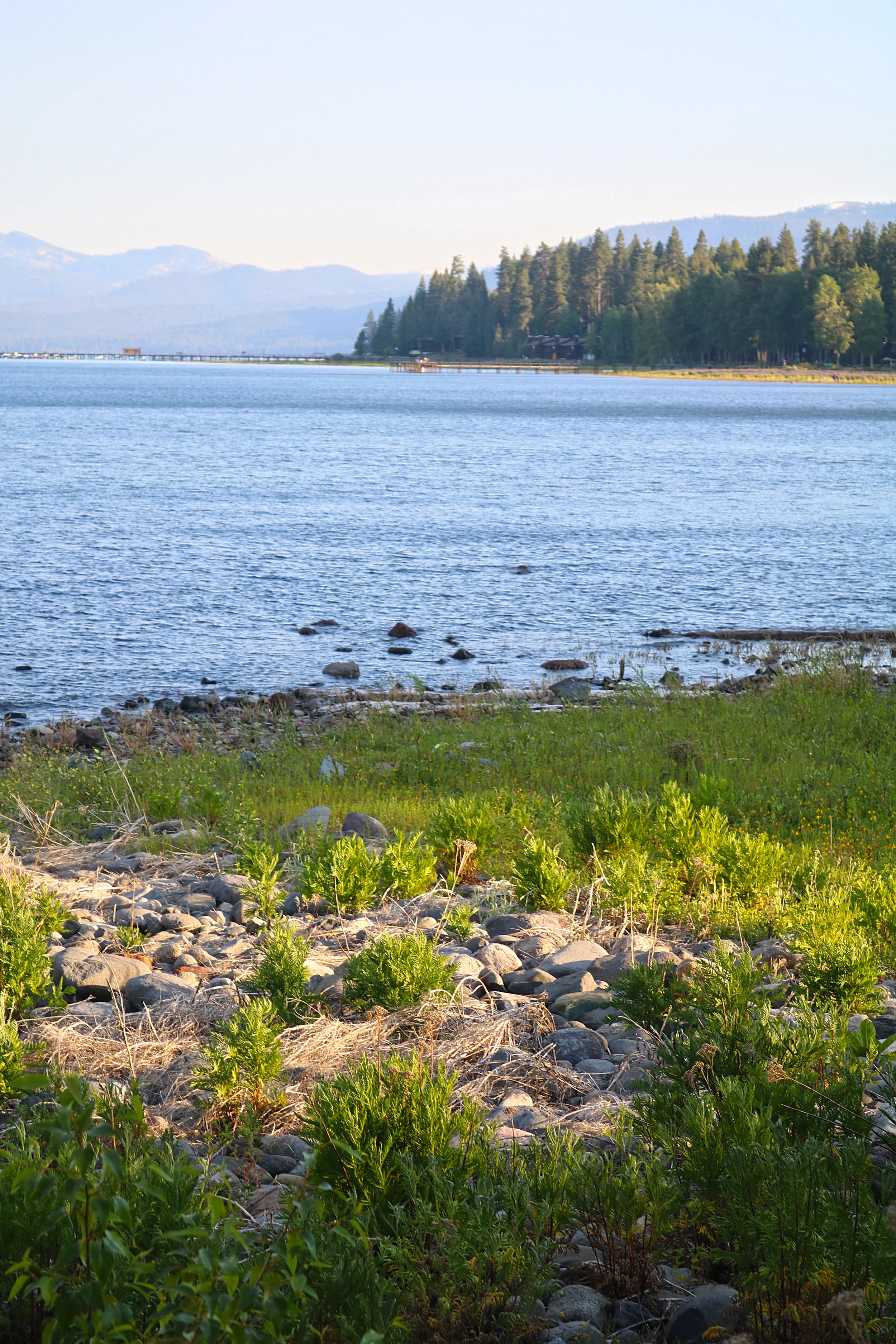 lake-tahoe.jpg