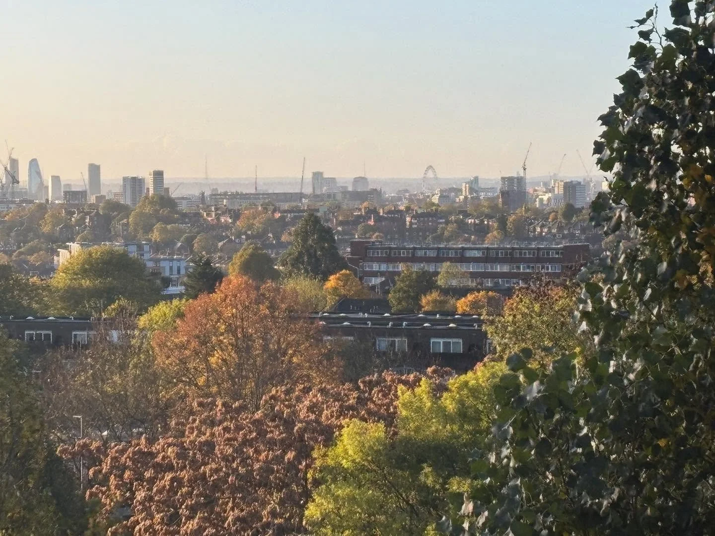Nice early morning views across London from our new transfusion lab. 
The reflective windows does not help with the photos unfortunately.
Can see a few London landmarks.