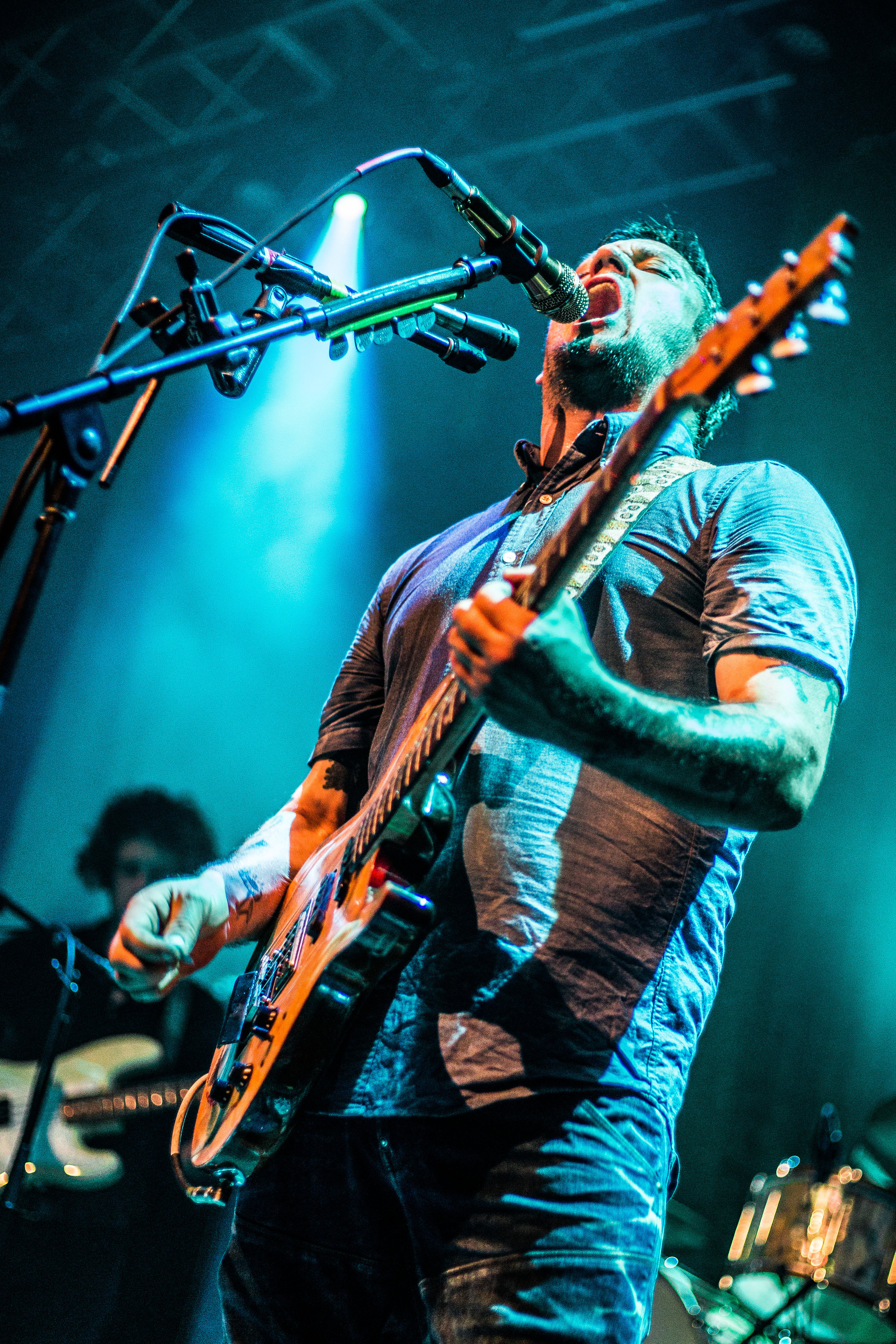 Modest Mouse