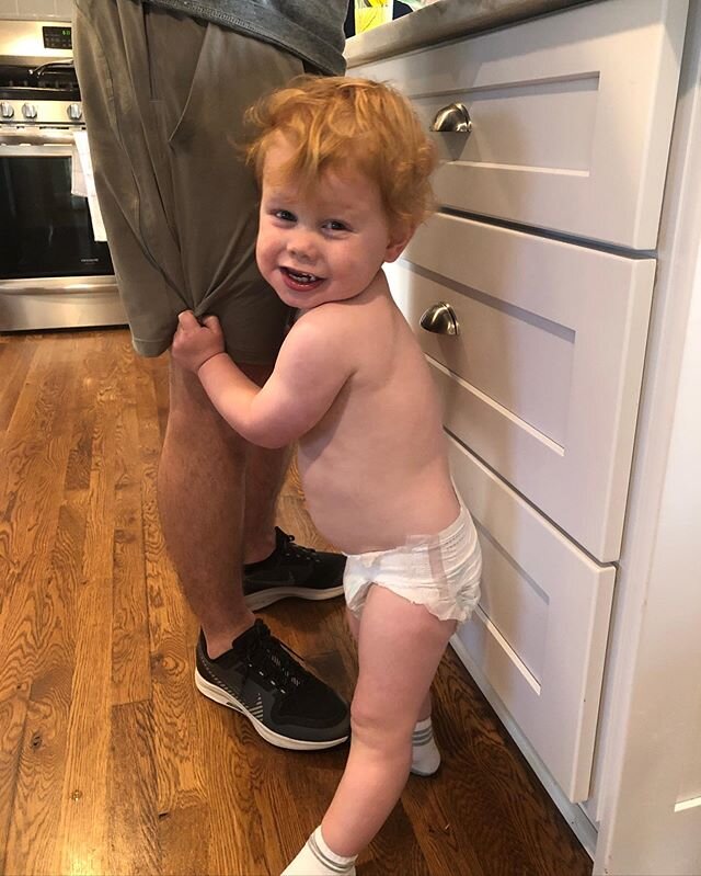 Been meaning to post pics of our crazy, precious Wilder boy for months now. He is 21 months old, has so much energy and saying so many words. He LOVES trucks, tractors, Choo-choos, his Pap, his Papa and Aubie 😍. He had some extra wild curly red hair