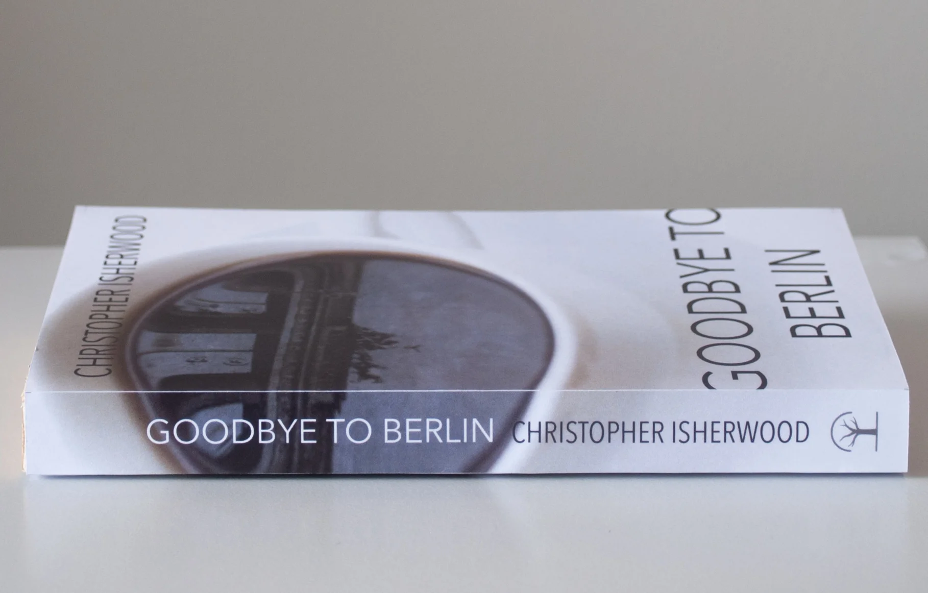 goodbye-to-berlin-holly-duun-spine.jpg