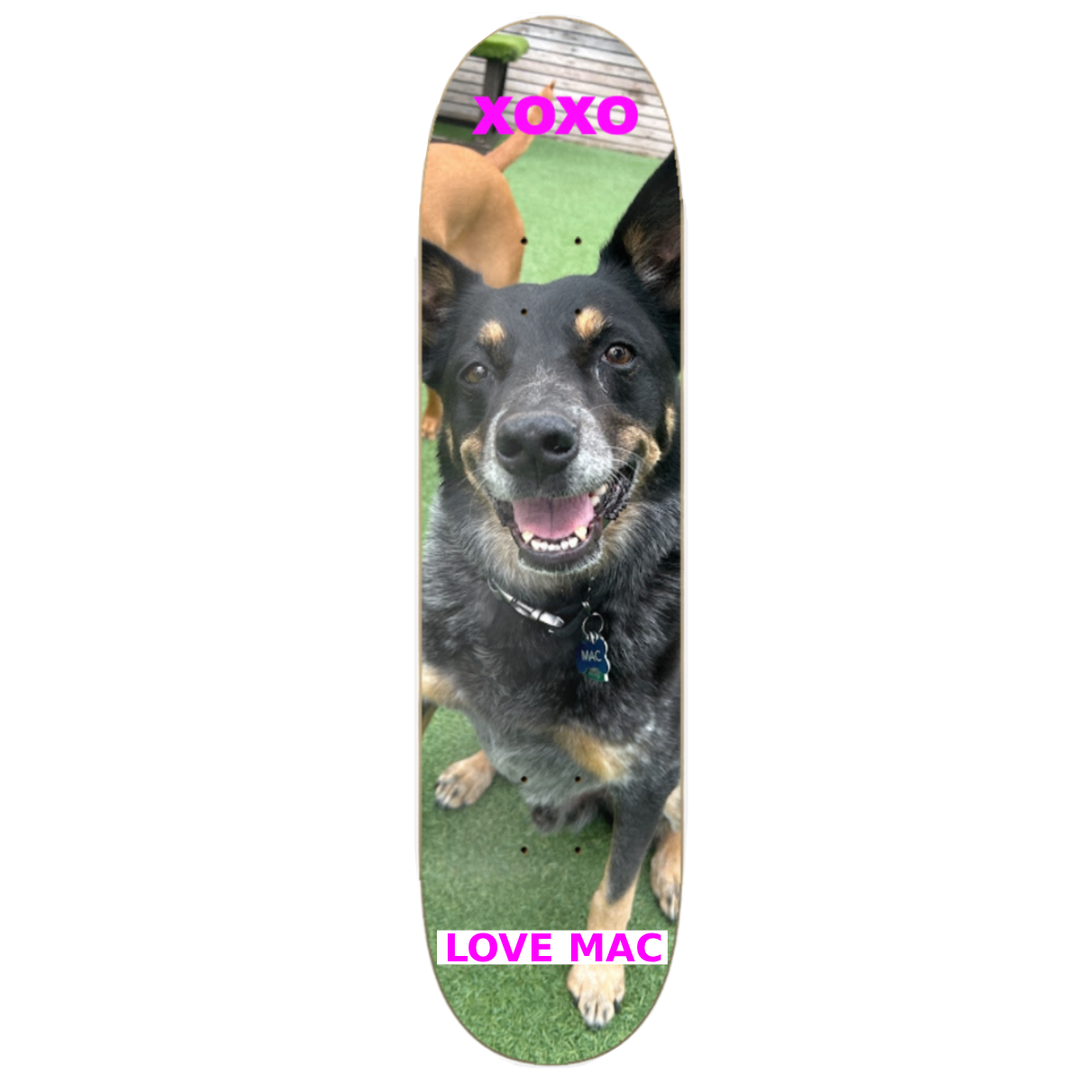 Love Mac XoXO