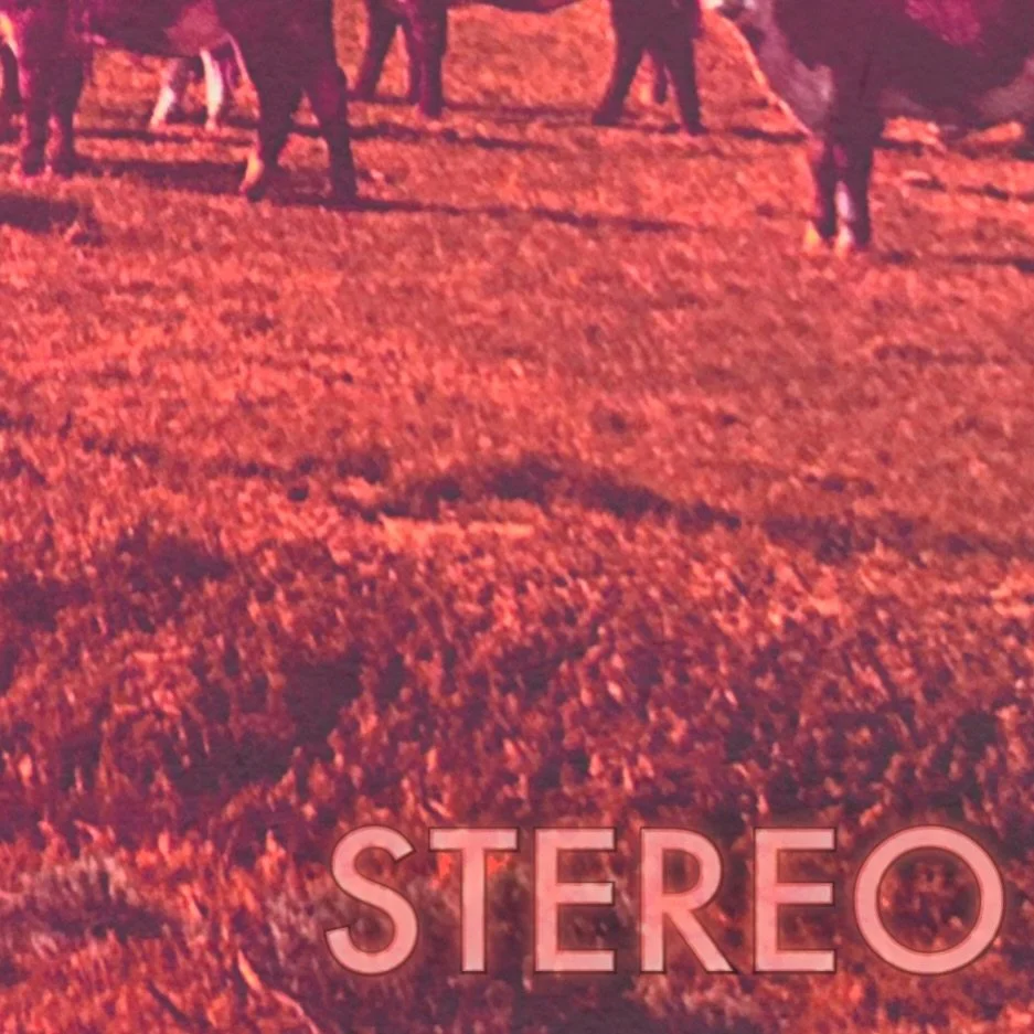 New music from @kewlhaze coming in the New Year &gt;&gt; pre-save here https://orcd.co/ab1nmem