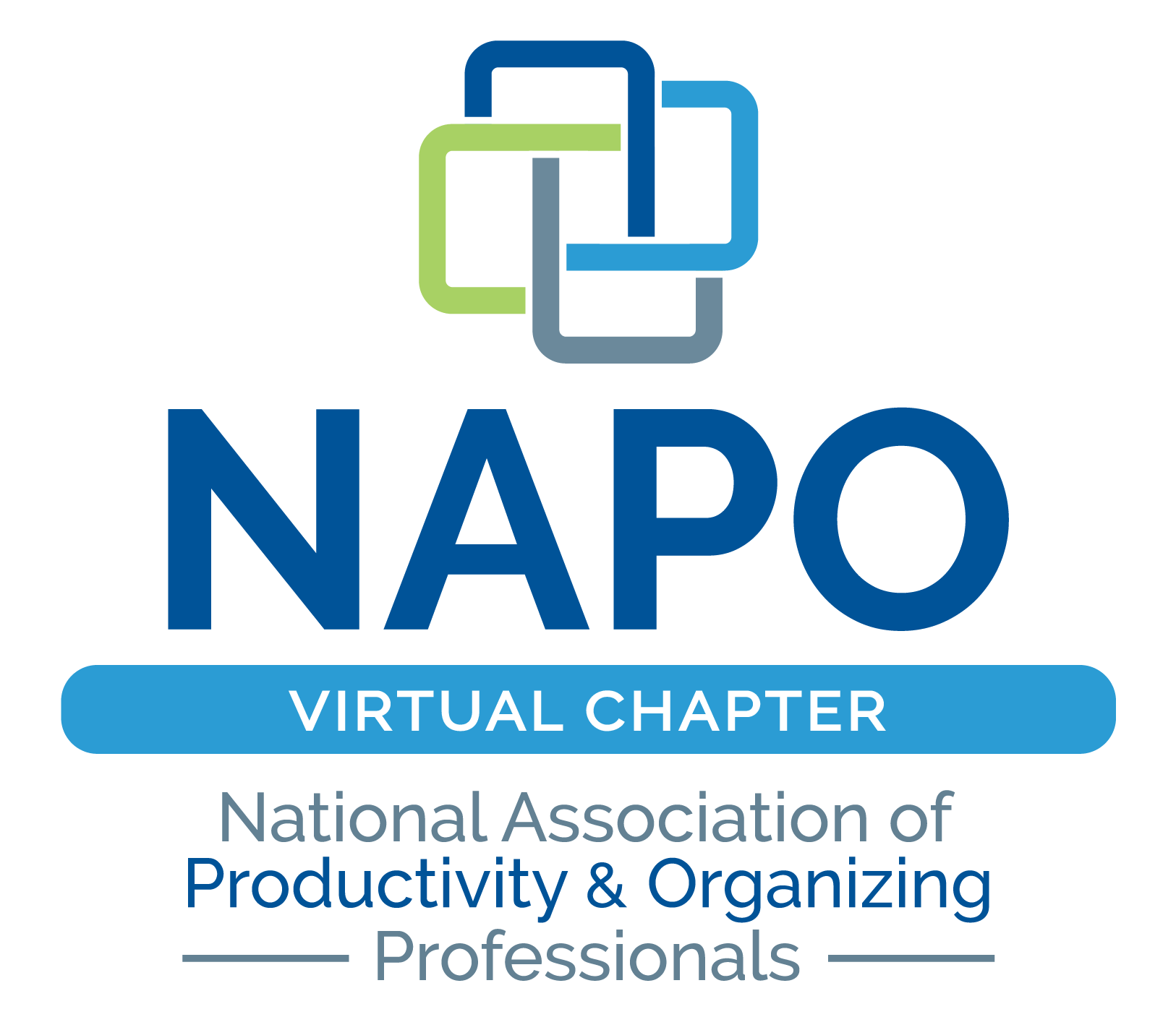 NAPO-virtual-chapter-01.png