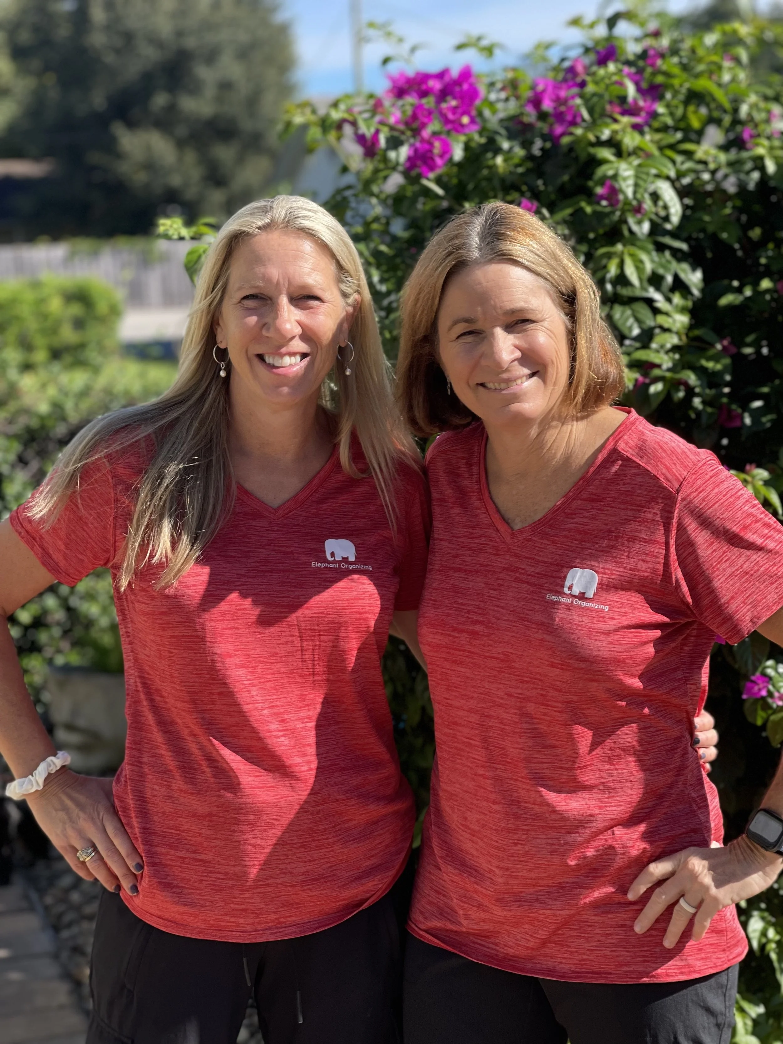 Elephant Organizing is Growing!