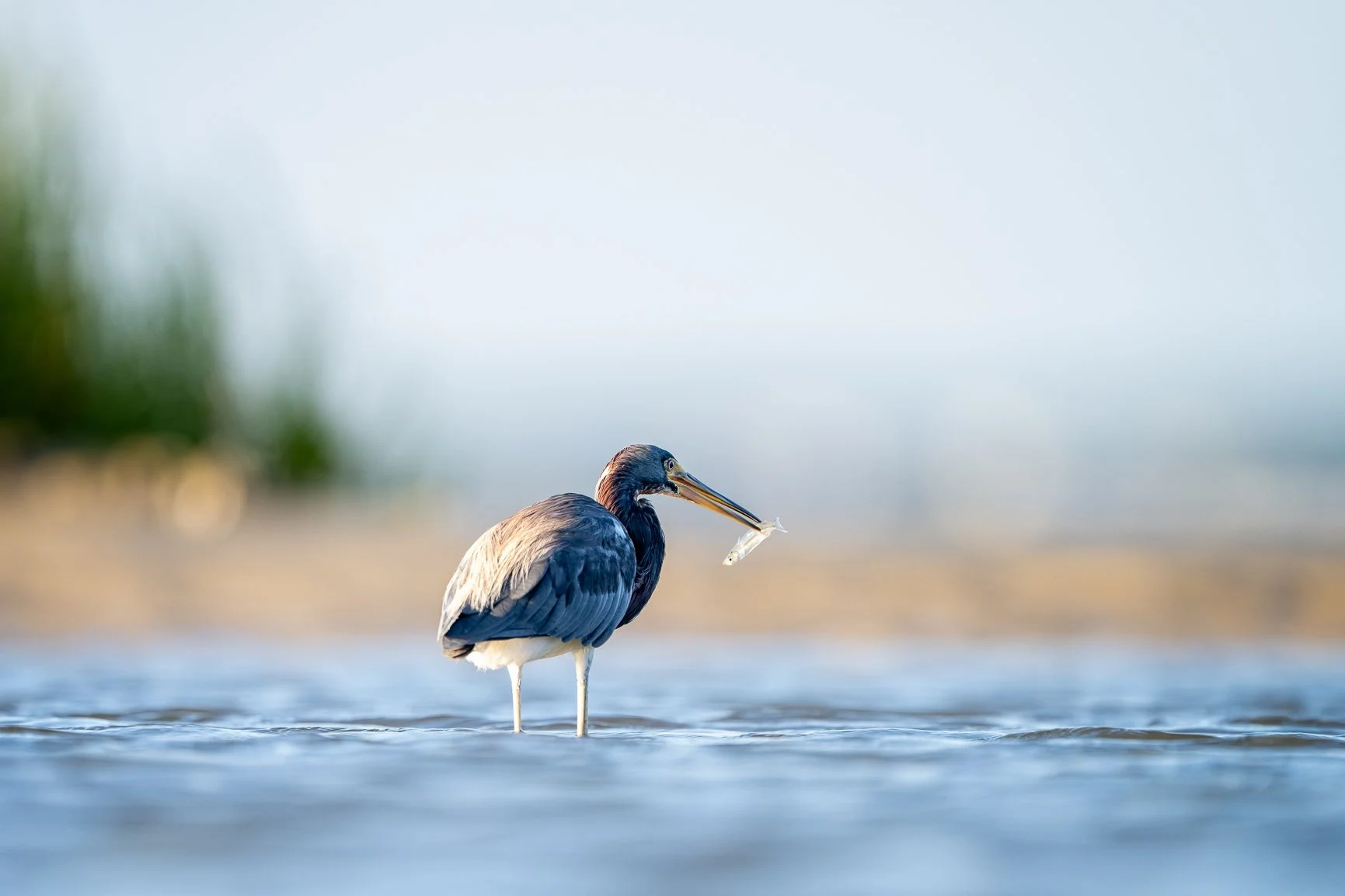Thanks for all the love on my Diet Coke post last week! So many of you sent messages with encouragement and creative ideas, and I couldn&rsquo;t appreciate it more. Starting this Monday feeling a little like a fish out of water&mdash;but hey, change 