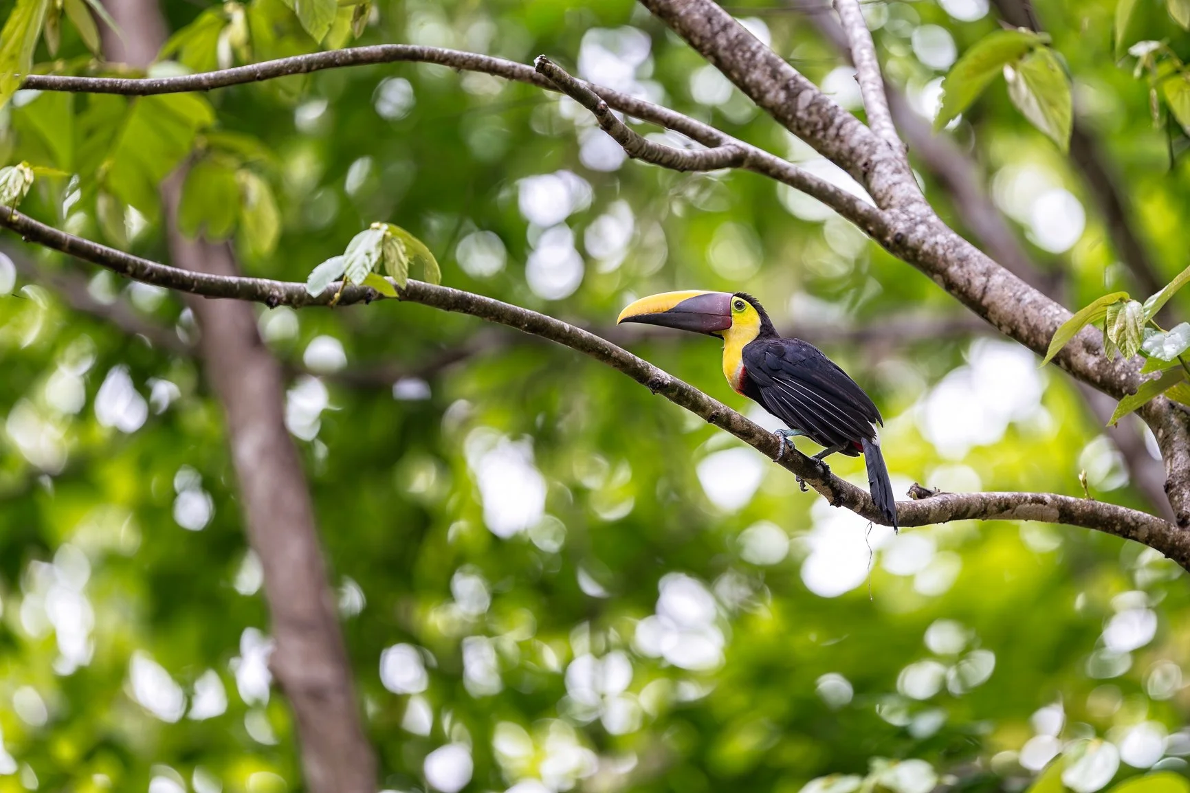 Good news&hellip; my class, Mastering the Art of Wildlife Photography starts this Monday on @womensphotographycircle 

If you&rsquo;ve been thinking about joining, this is your chance. We&rsquo;ll cover everything from camera settings and autofocus t
