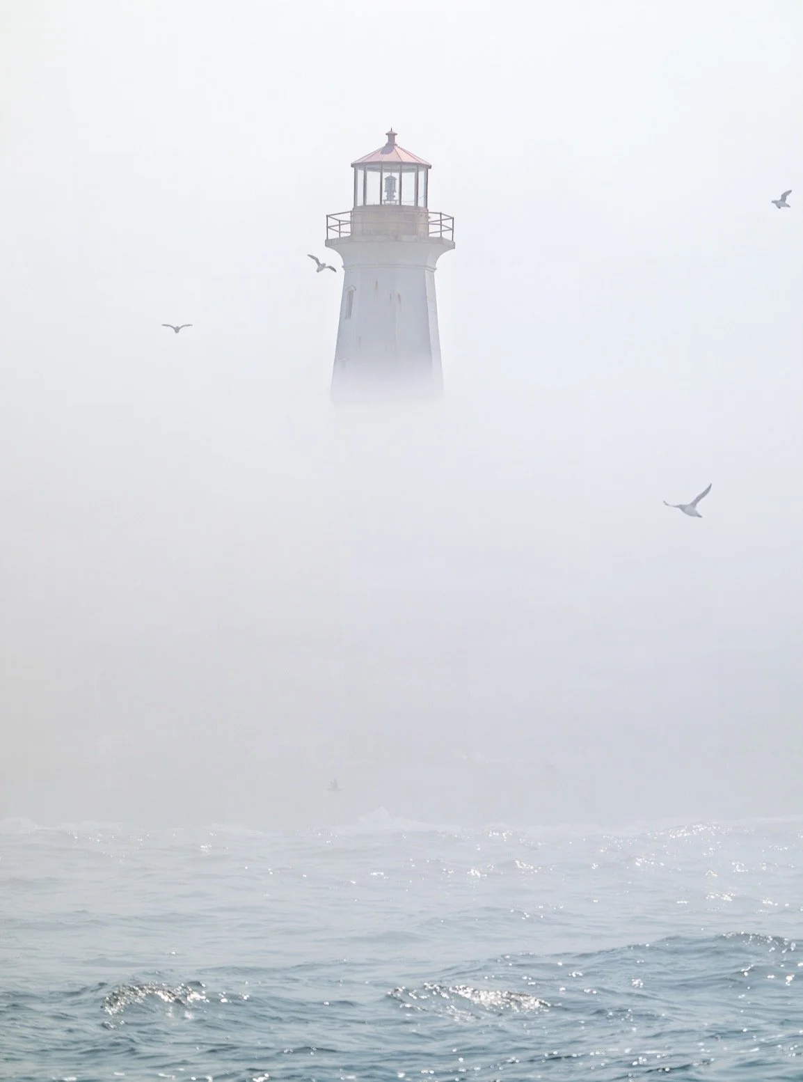 Happy National Lighthouse Day! 

Built to guide ships safely through the fog and rugged waters of the Bay of Fundy, the Machias Seal Island Lighthouse has stood watch here for nearly two centuries. Today, it's surrounded not only by some of the world