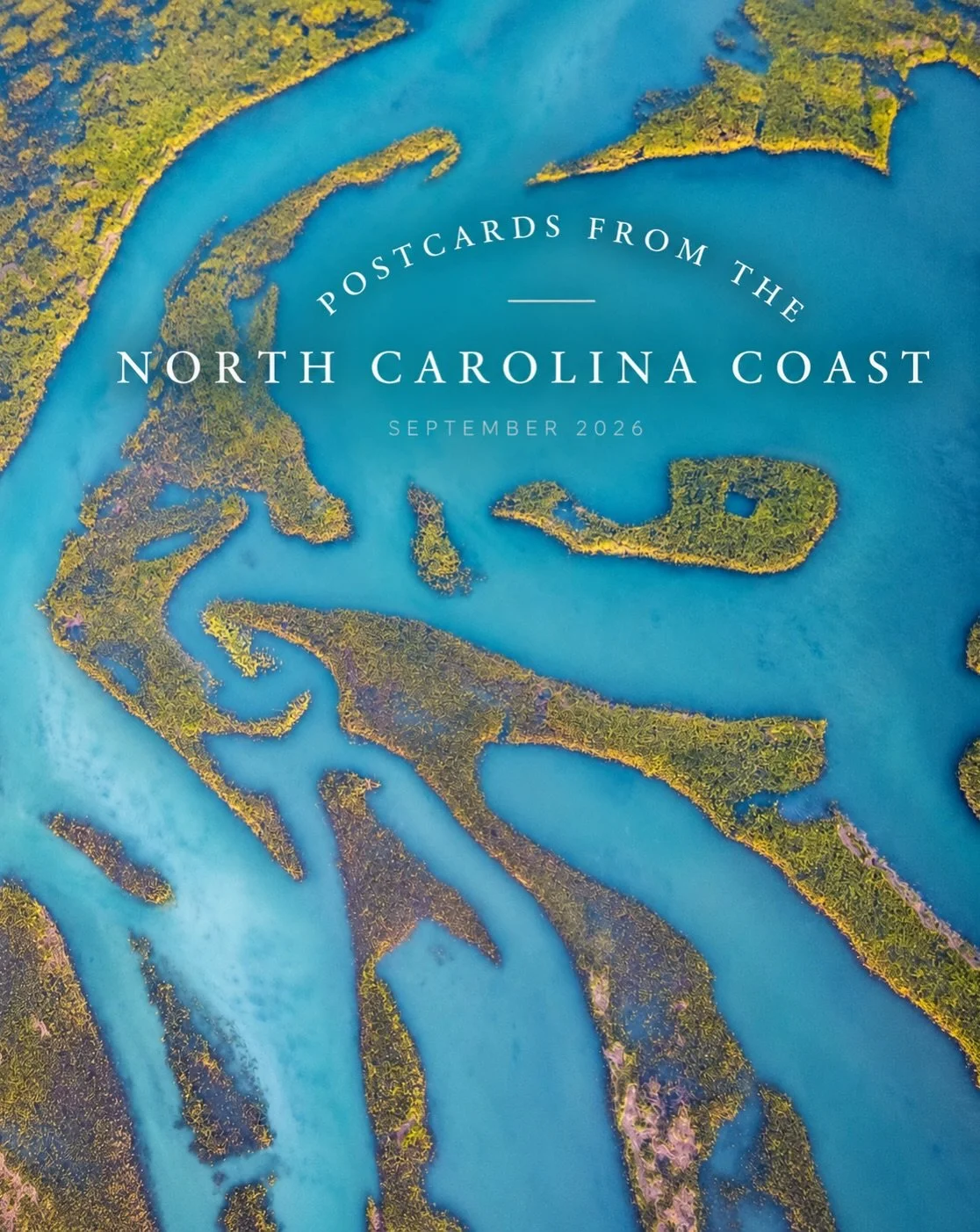 Postcards from the North Carolina Coast 

Spent last week at the coast and it&rsquo;s definitely starting to feel like migration season! Lots of birds moving through, plenty of coastal chaos, some beautiful evening light and, of course, way too many 