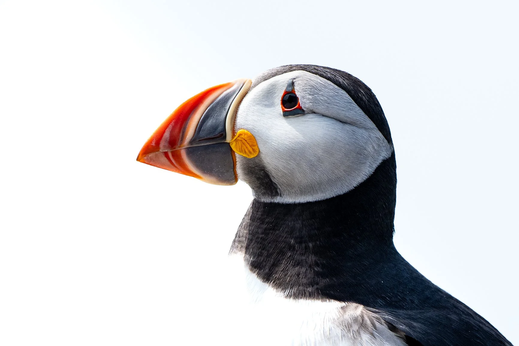 DSC_3334.jpg
