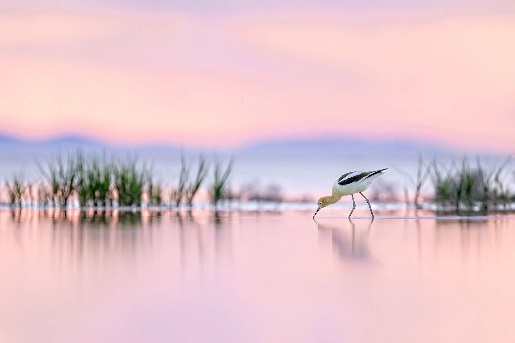DSC_3565-Edit-2.jpg