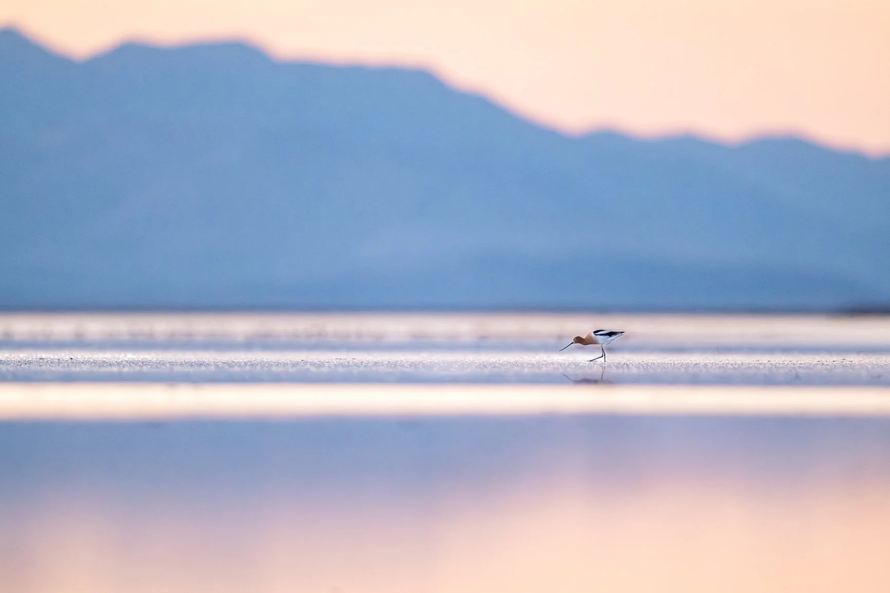 DSC_2020-Edit.jpg