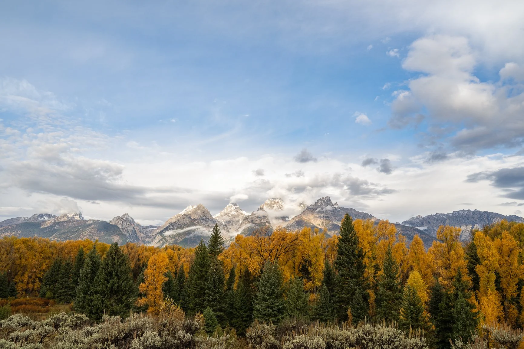 DSC_5972-Edit.jpg