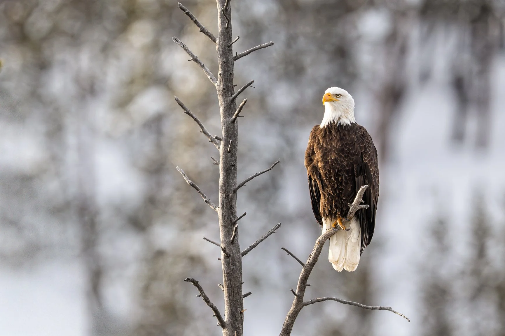 DSC_8803-Edit.jpg