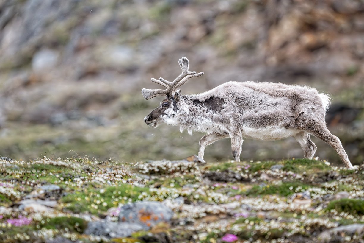 DSC_1282-Edit-Edit.jpg