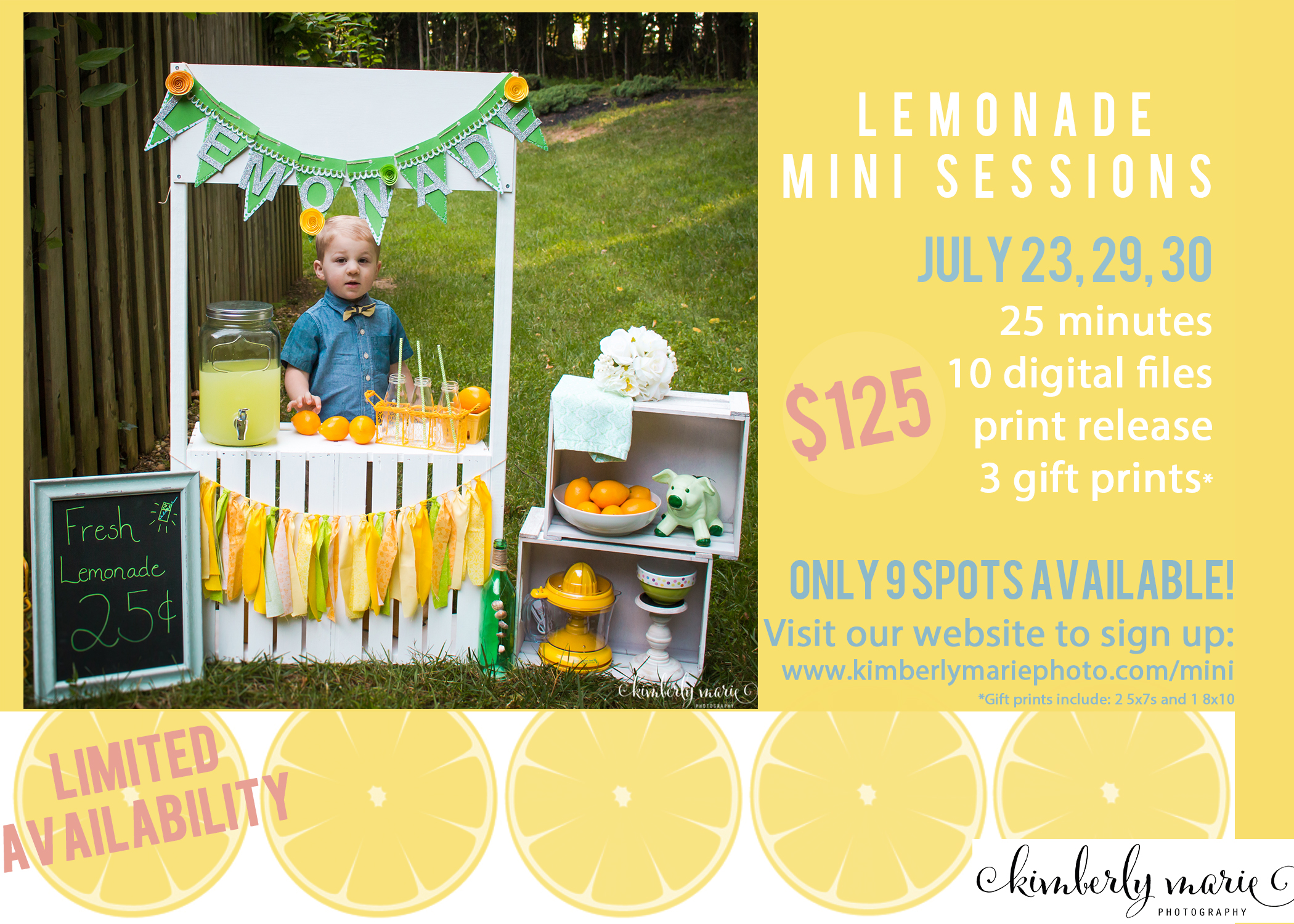 Lemonade Mini Sessions Ad.jpg