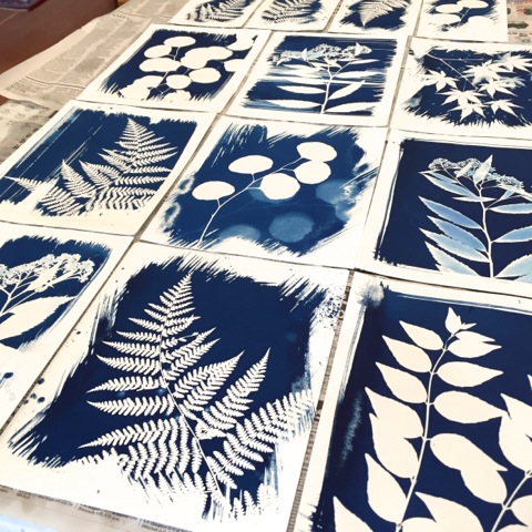 Cyanotype 1 - spread.jpeg