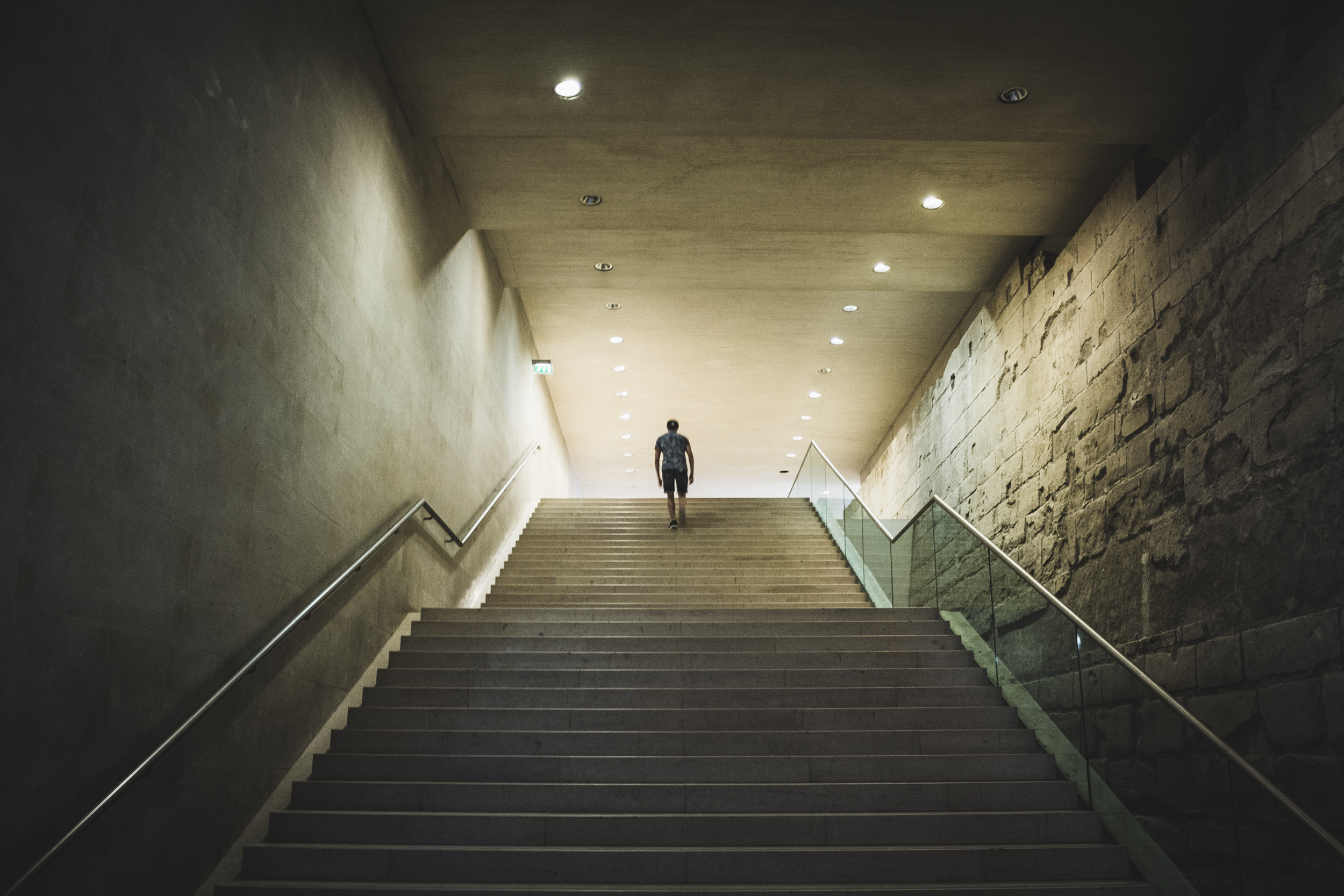 paris - louvre leo escalier.jpg
