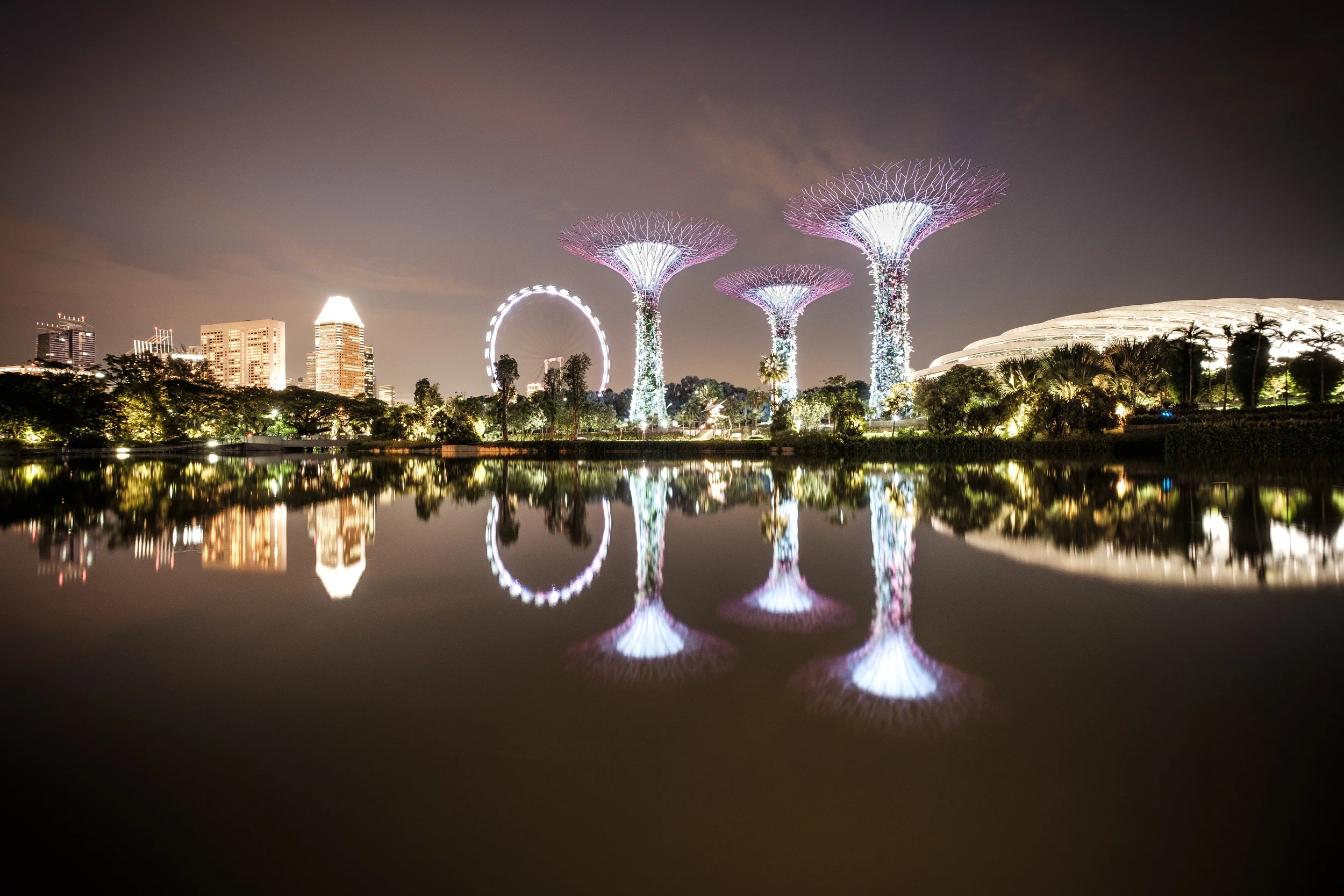 asie - skyline arbres futur.jpg