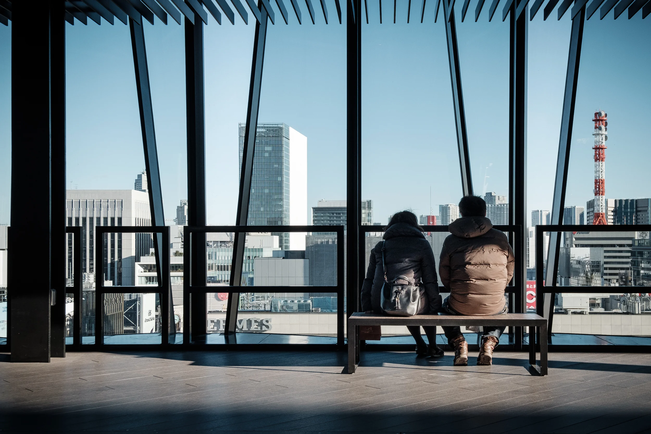 japon - tokyo couple toit.jpg