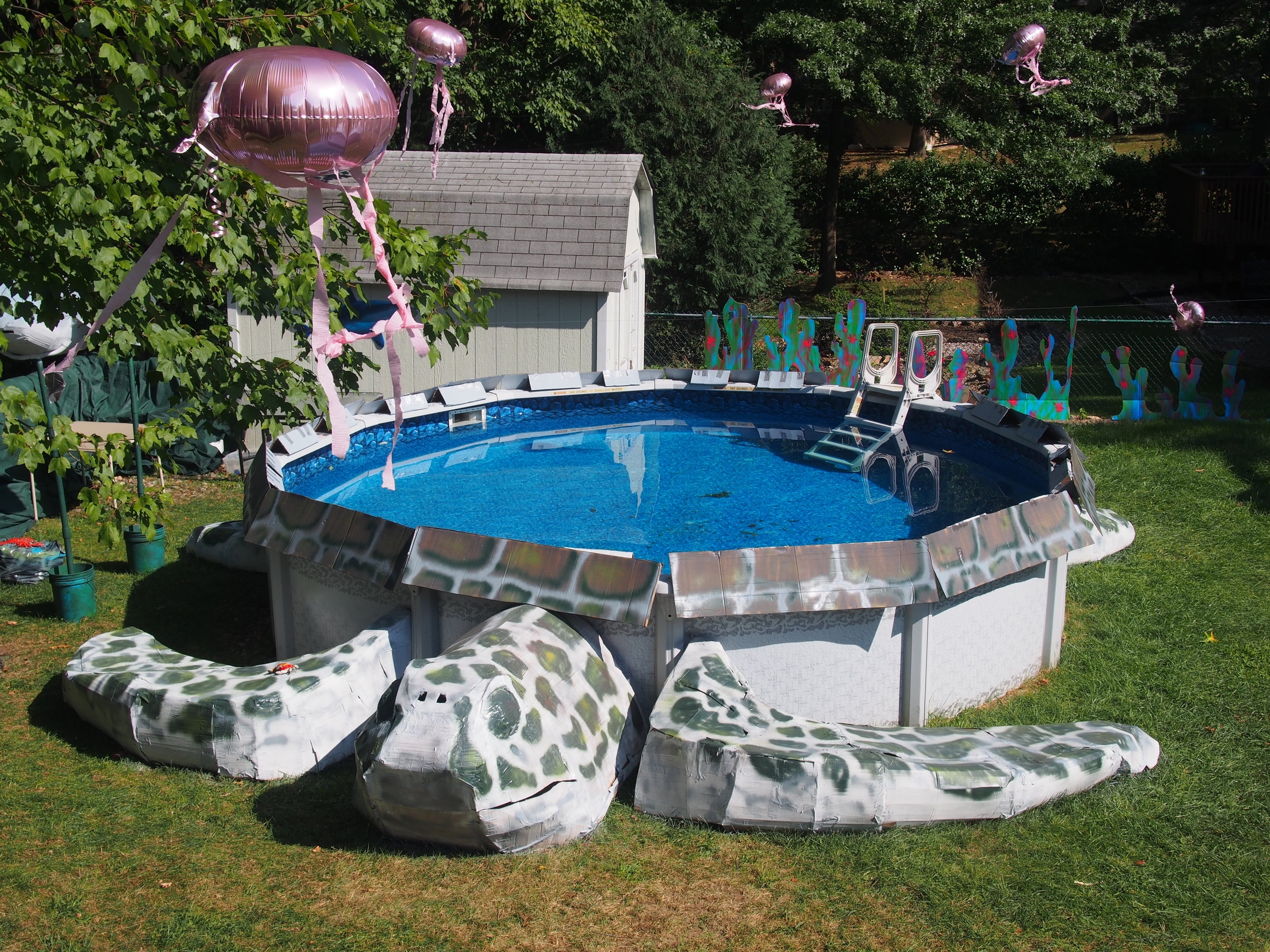  Sea Turtle with hovering jellyfish, Underwater Party 2016    